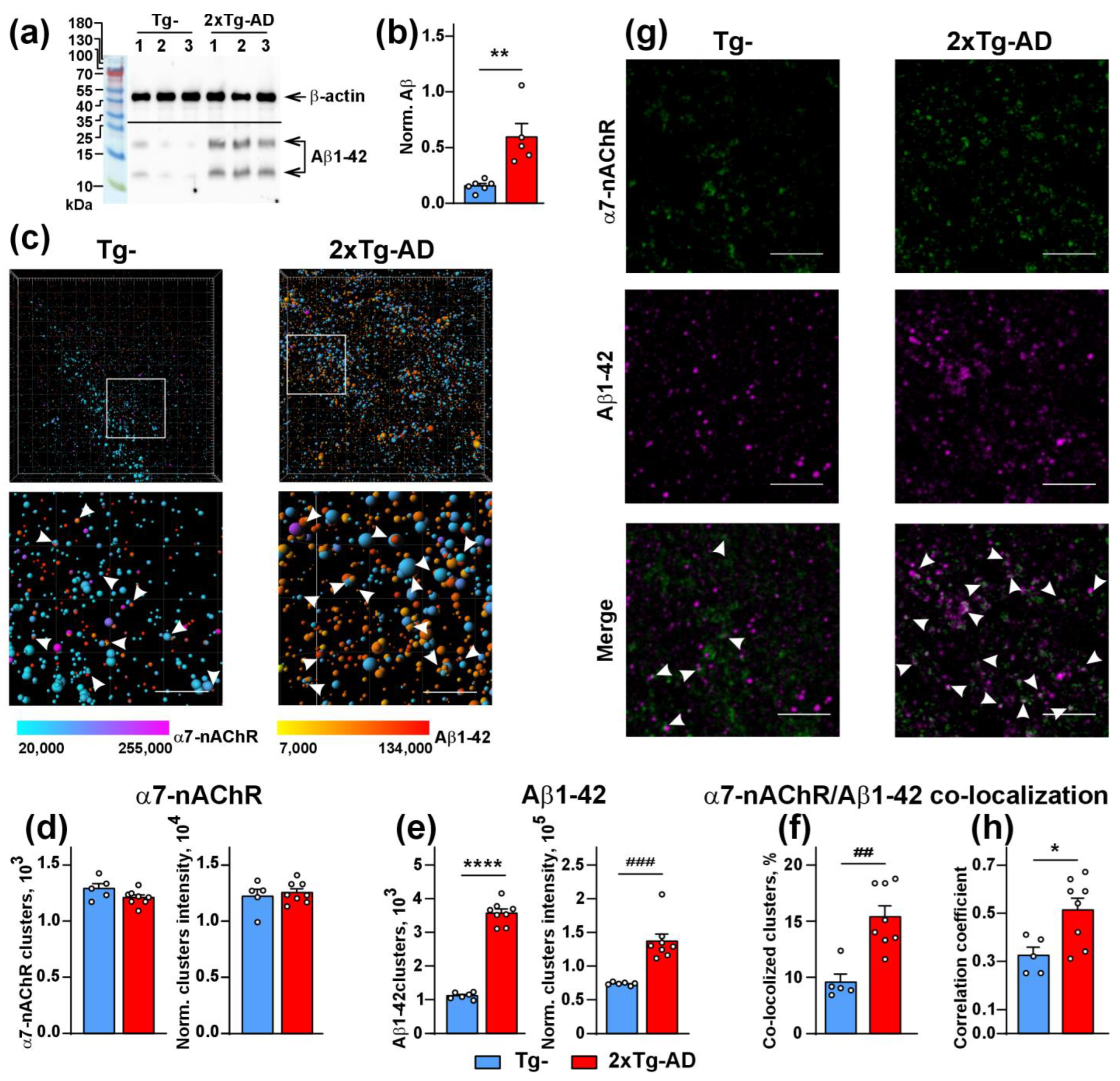 Ijms 24 14852 g004 Ijms 24 14852 g004