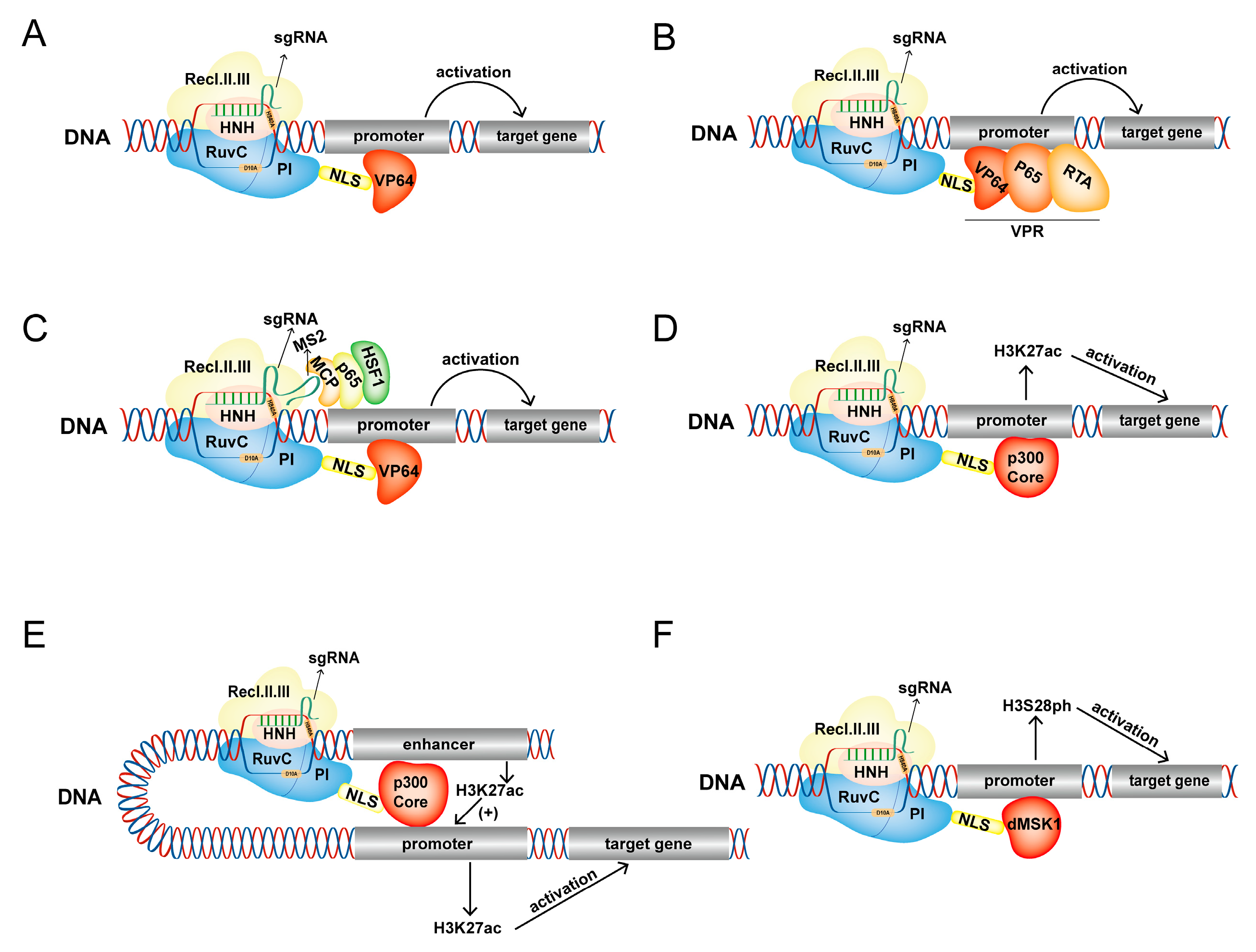 Ijms 24 14865 g004 Ijms 24 14865 g004