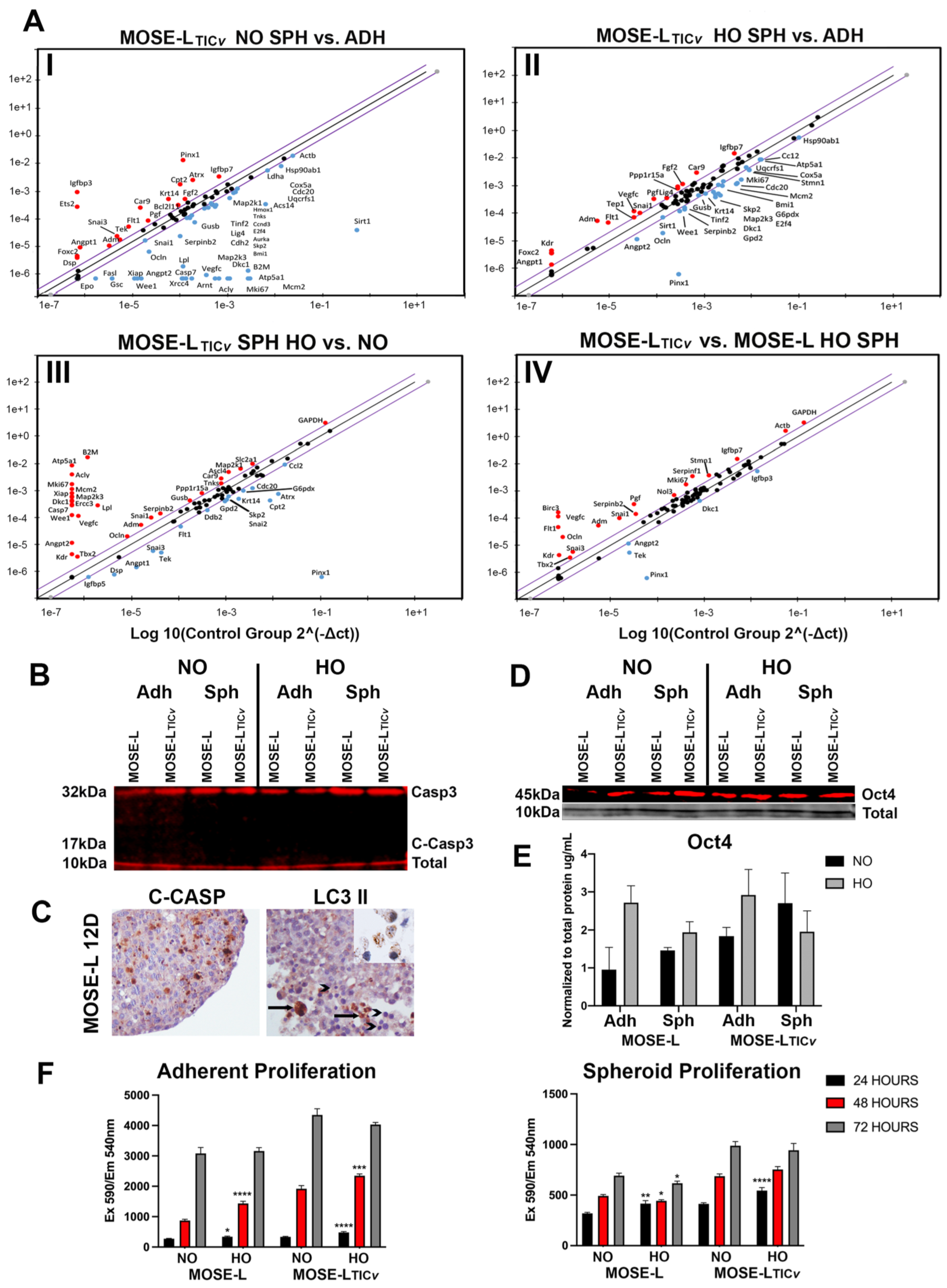 IJMS | Free Full-Text | Genetic and Functional Modifications