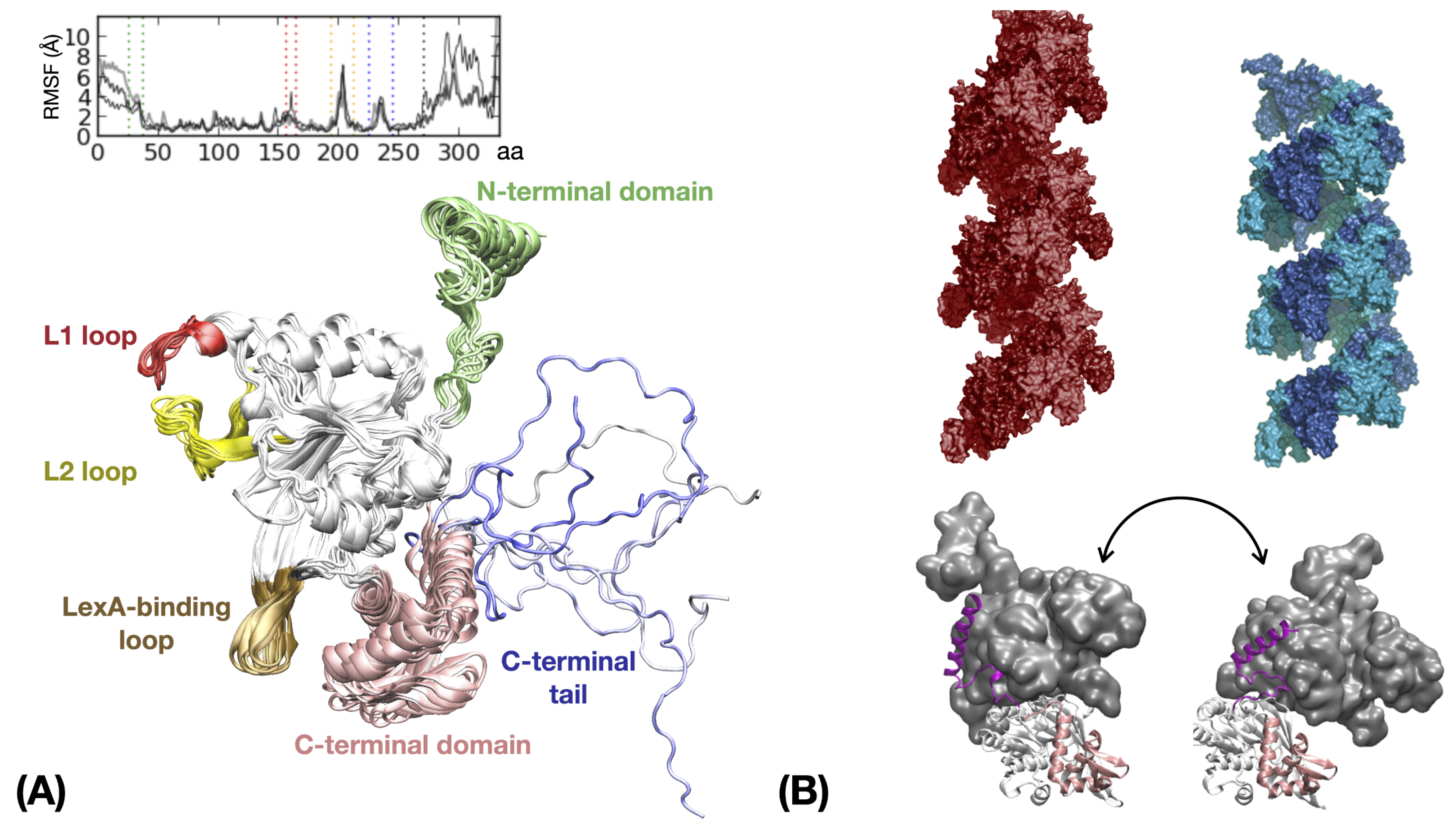Ijms 24 14896 g003 Ijms 24 14896 g003