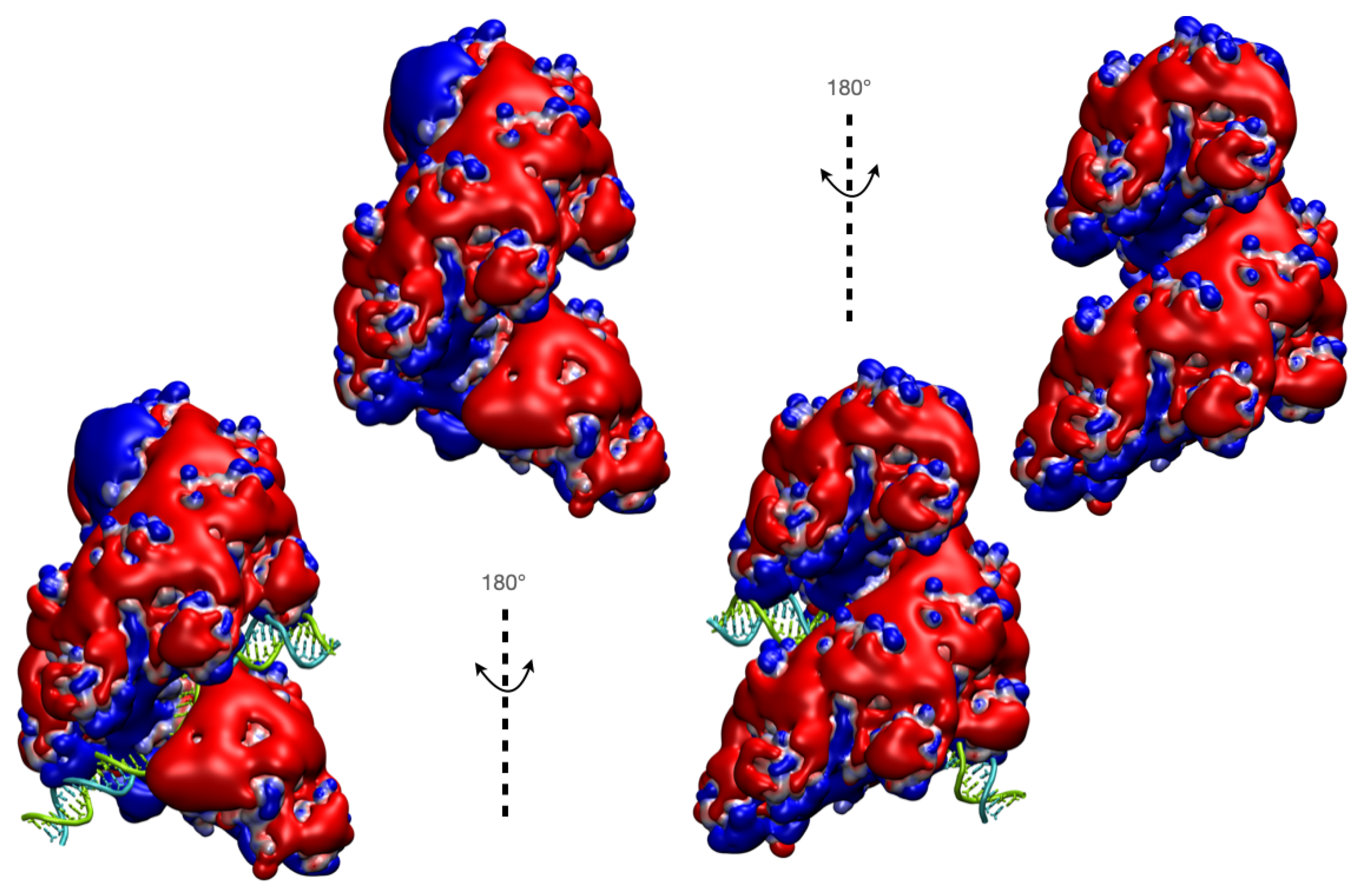 Ijms 24 14896 g005 Ijms 24 14896 g005