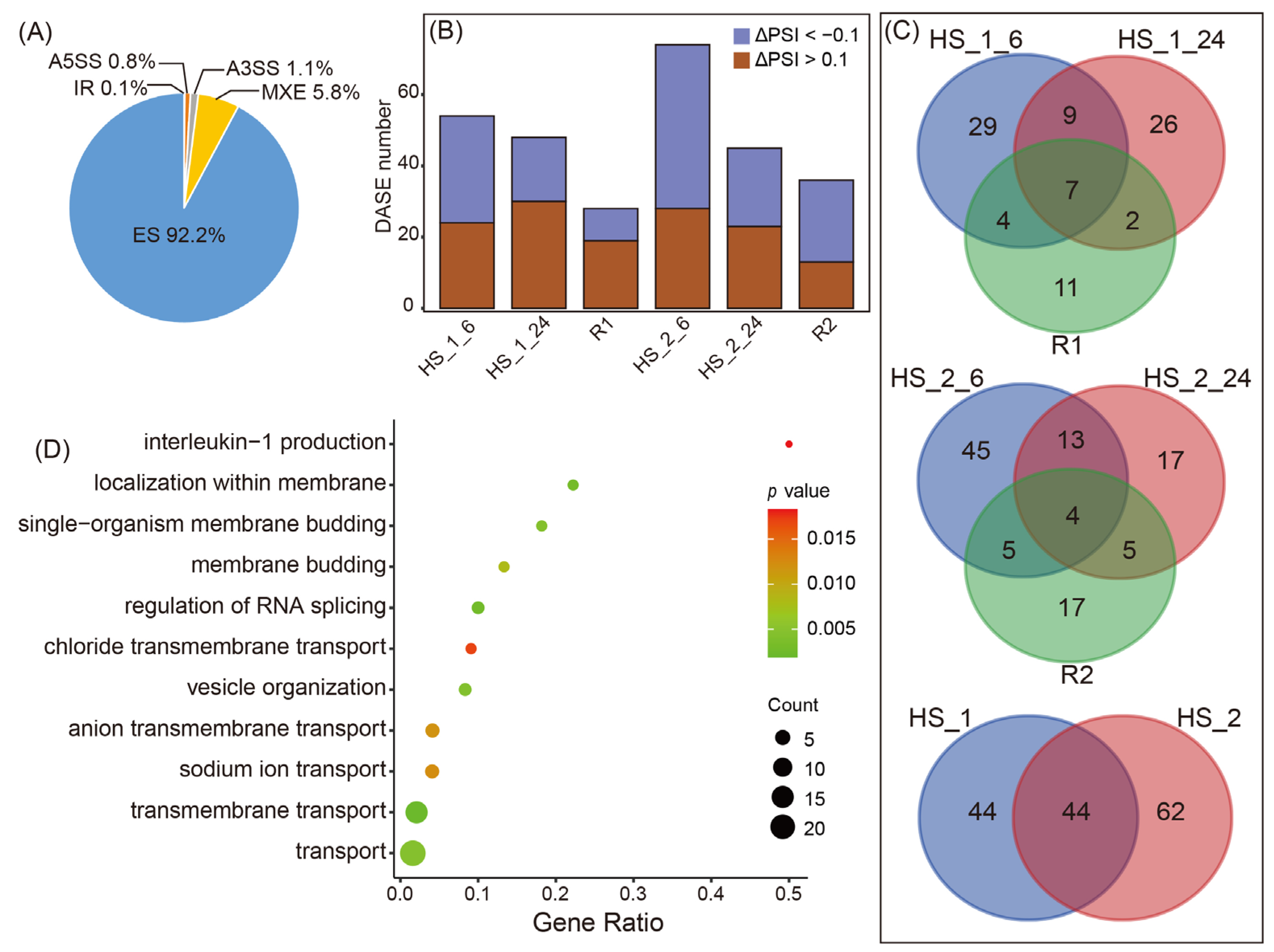 Repressive elements co-evolve with splice site sequences at