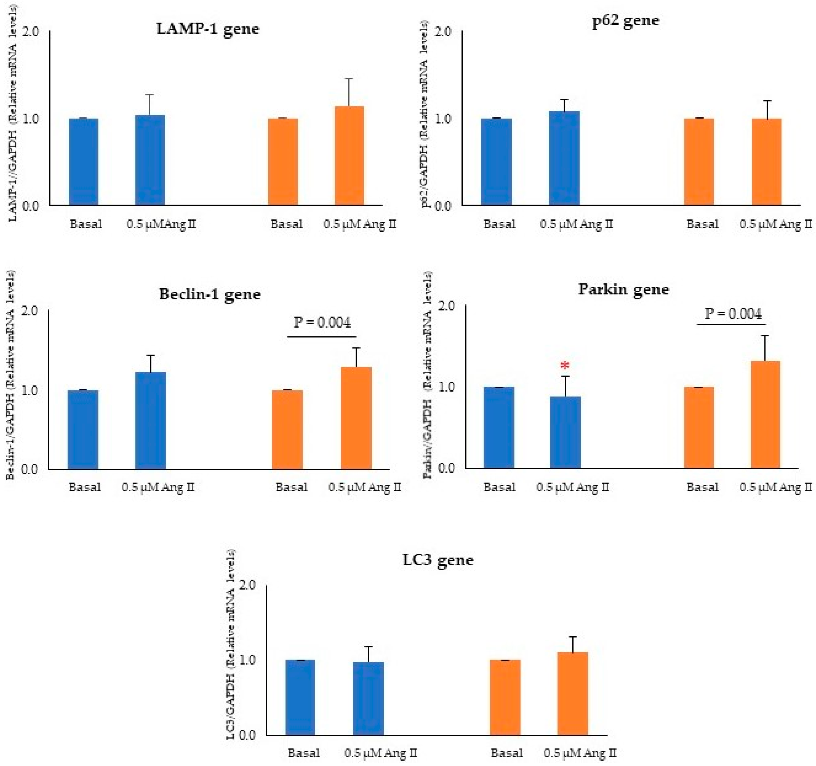 Ijms 24 14929 g004 Ijms 24 14929 g004