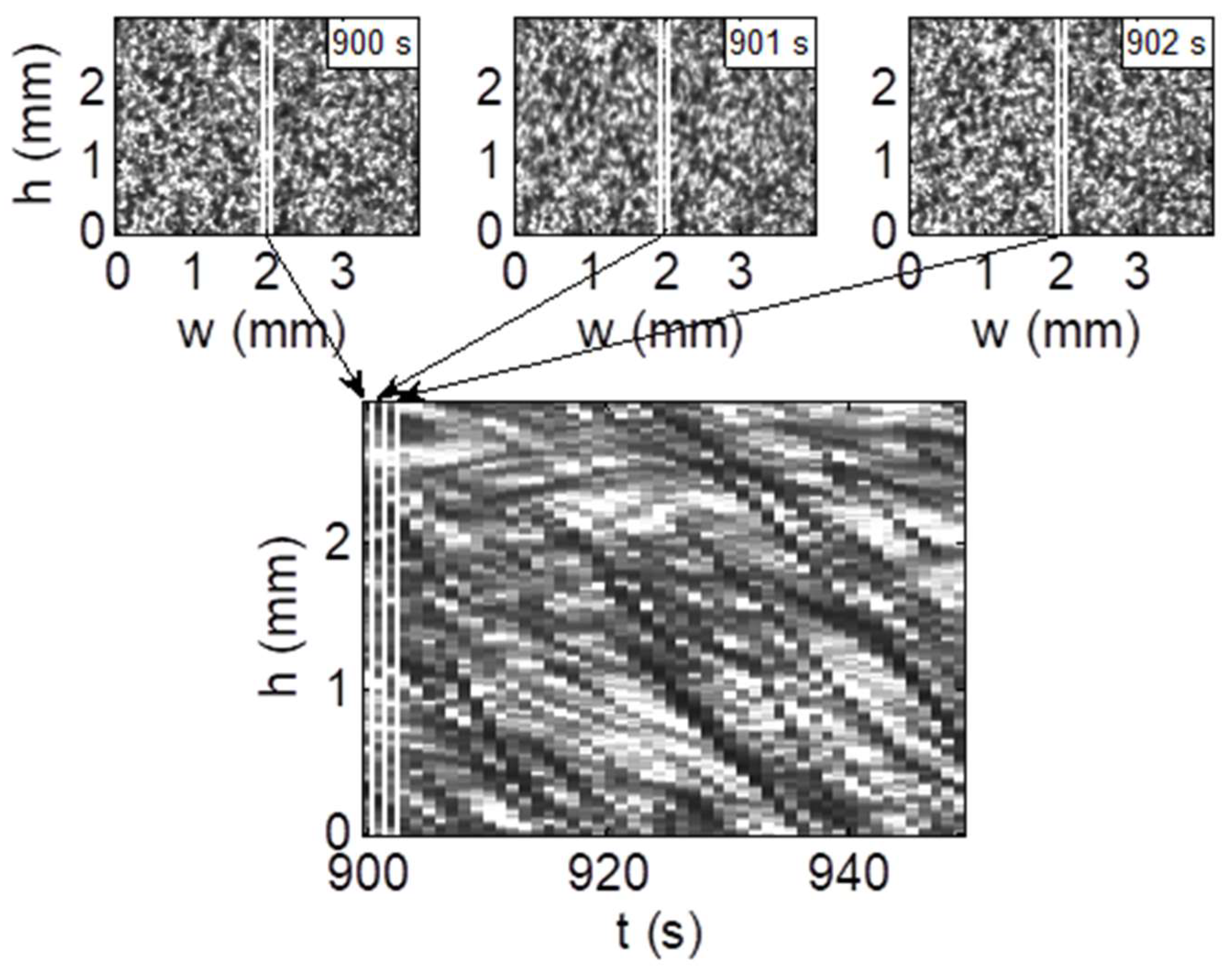 Ijms 24 14952 g006 Ijms 24 14952 g006