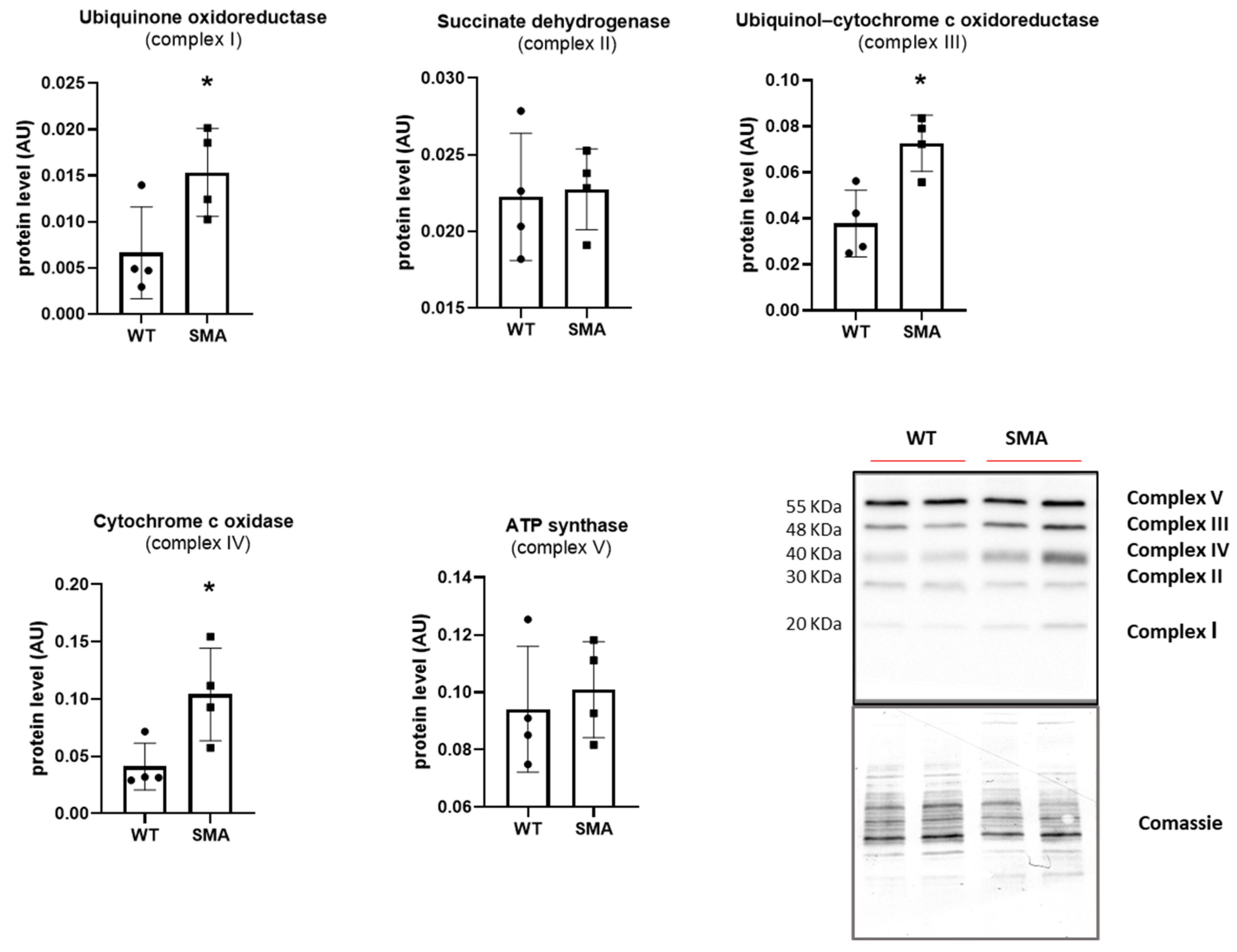 Ijms 24 14953 g003 Ijms 24 14953 g003