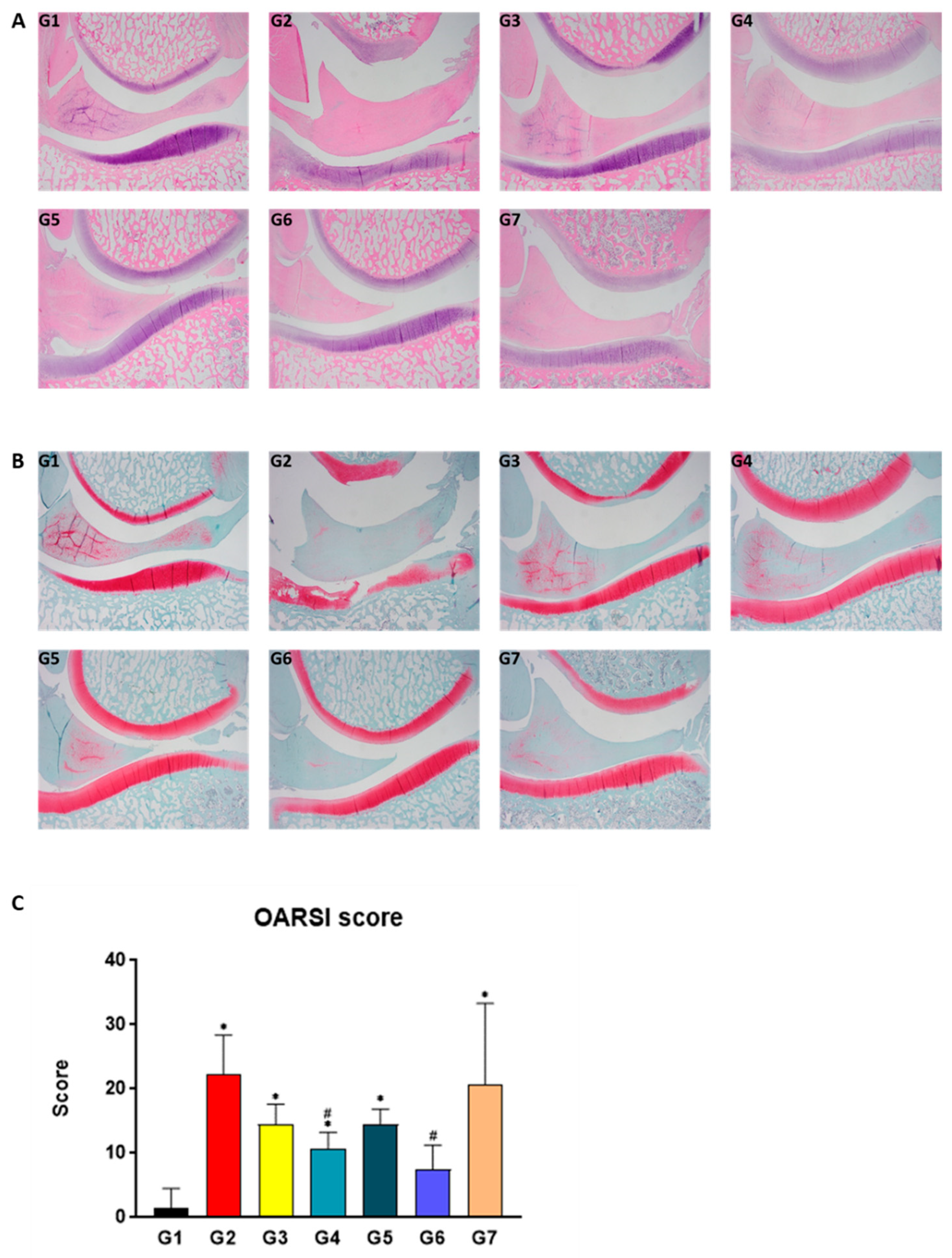 Ijms 24 14972 g005 Ijms 24 14972 g005