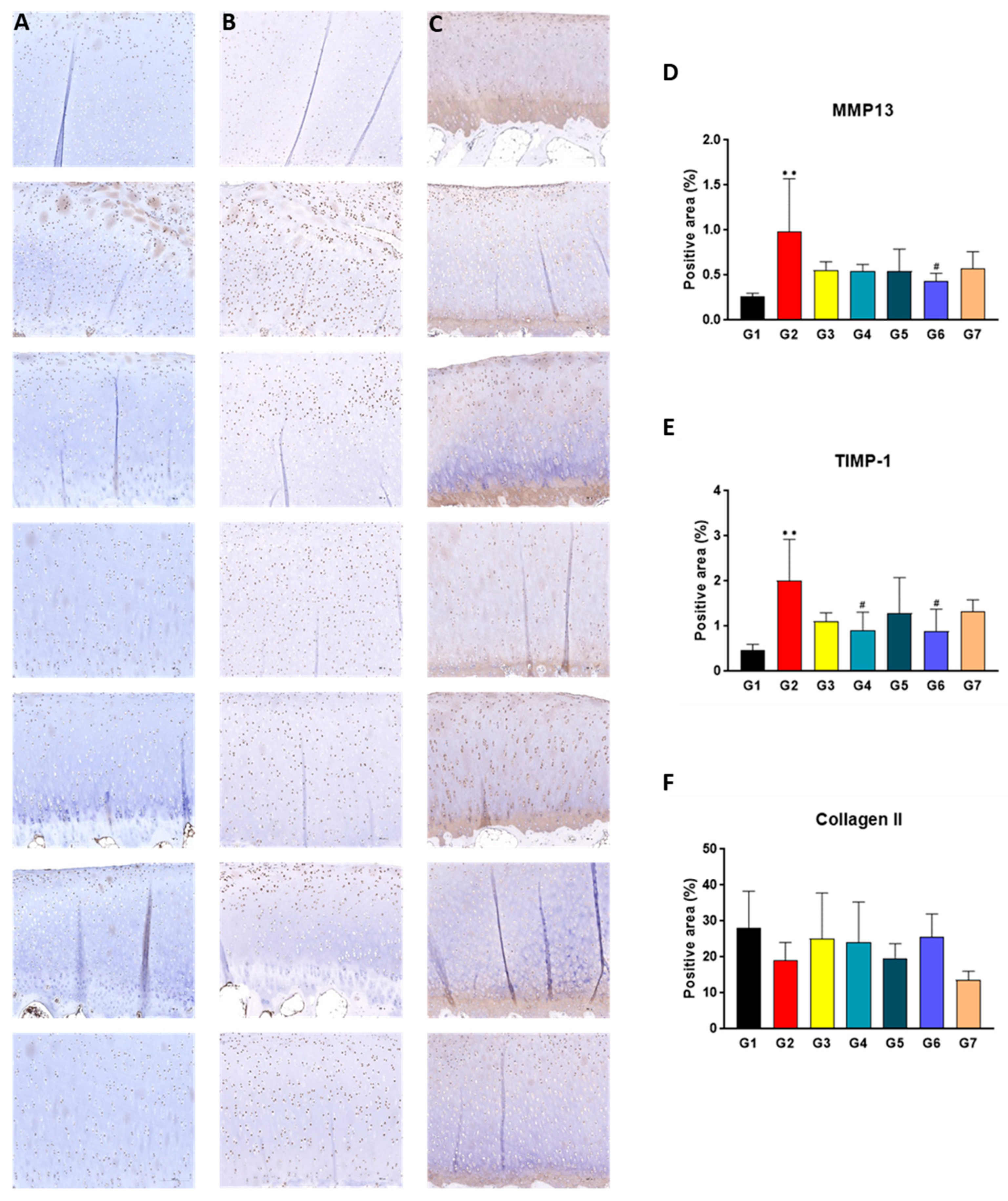Ijms 24 14972 g006 Ijms 24 14972 g006