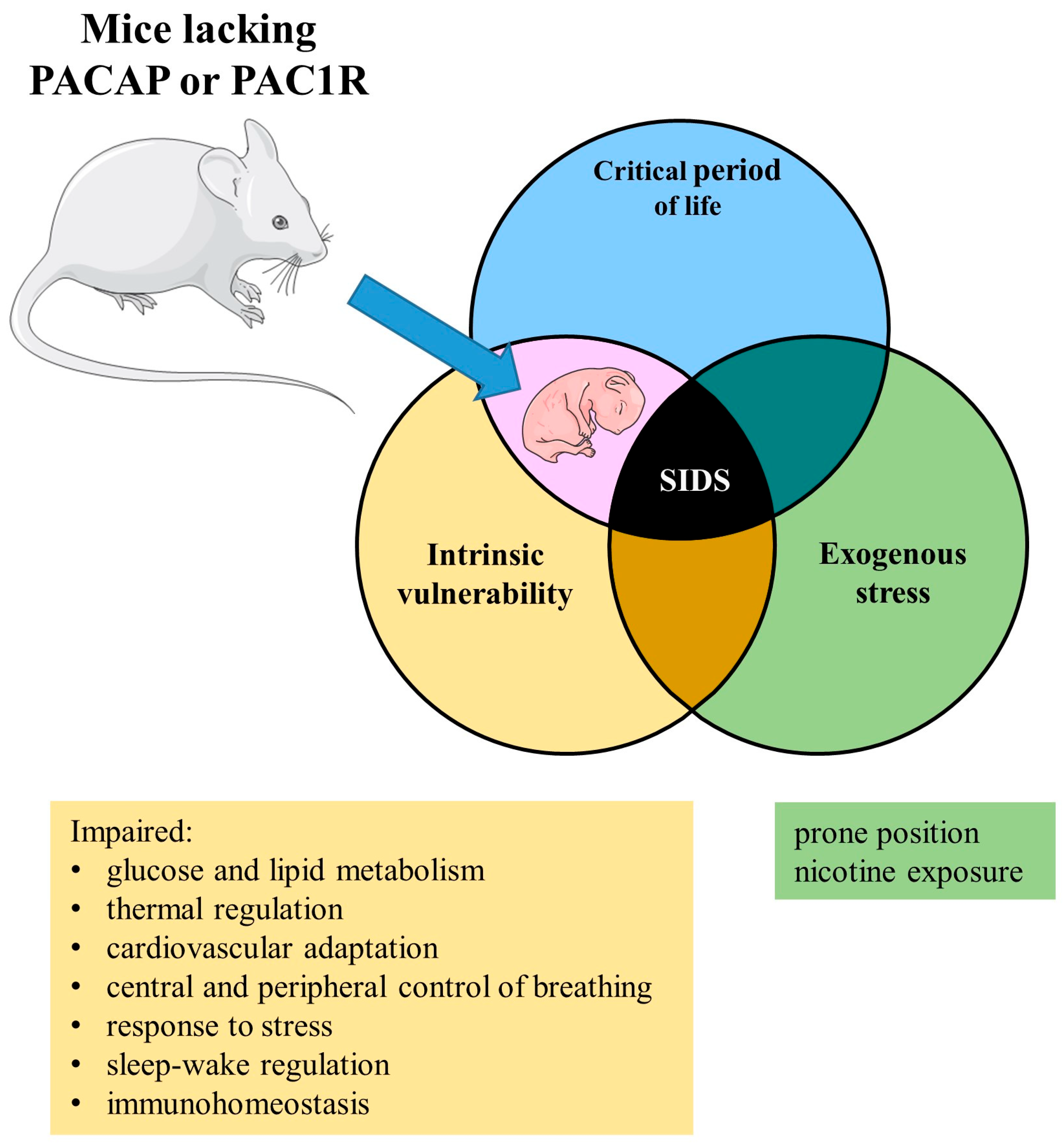 Ijms 24 15063 g002 Ijms 24 15063 g002