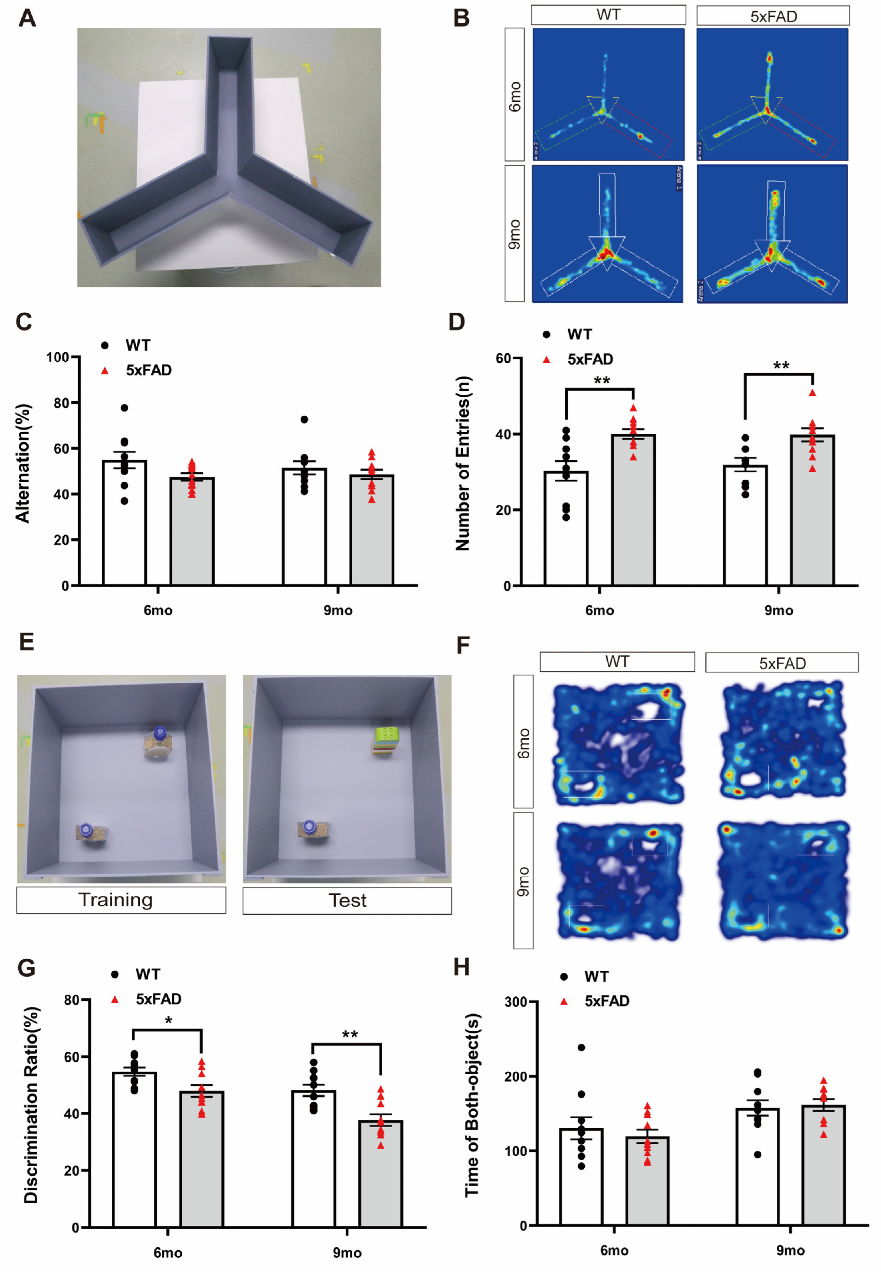 Ijms 24 15064 g001 Ijms 24 15064 g001