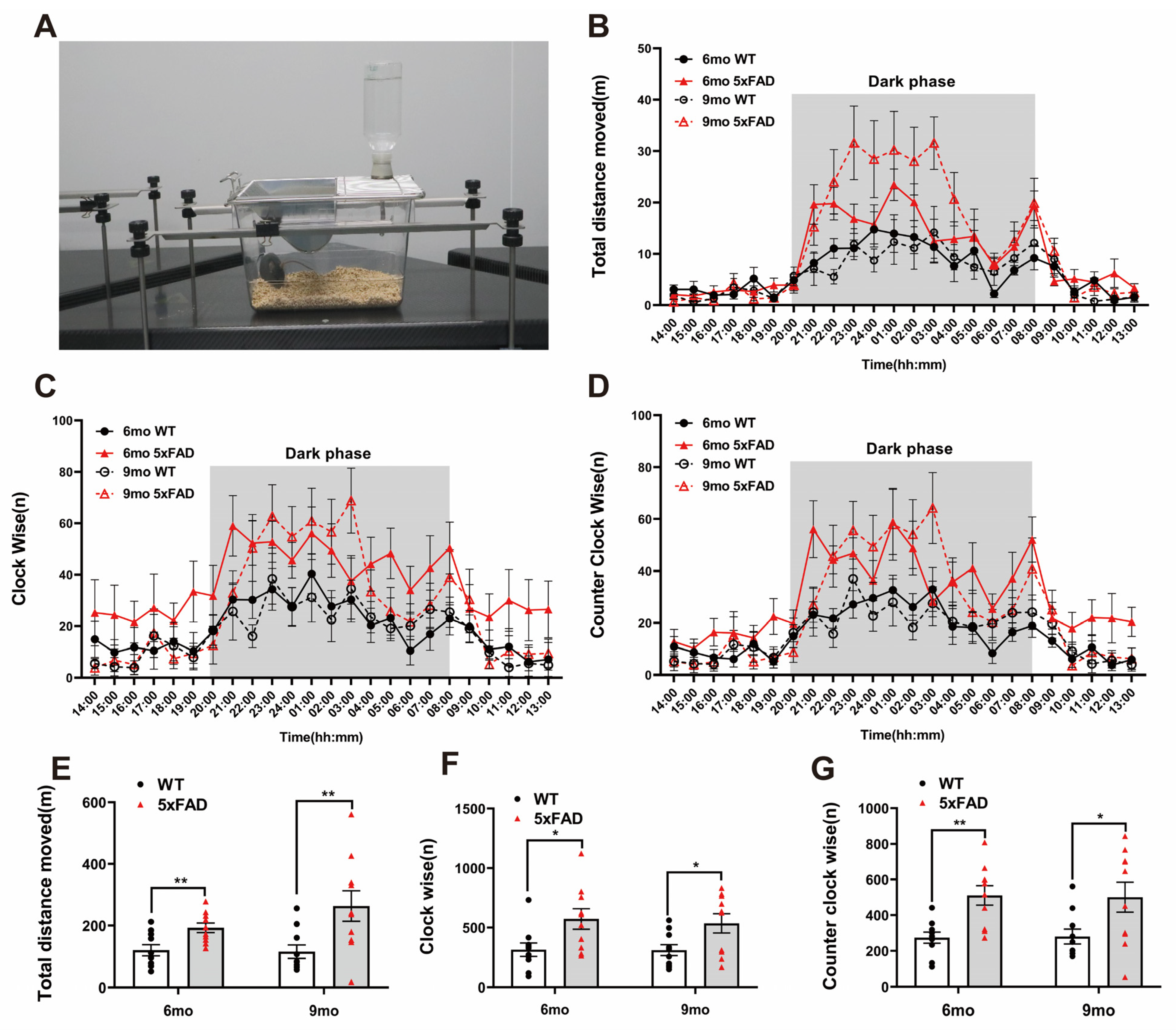 Ijms 24 15064 g002 Ijms 24 15064 g002