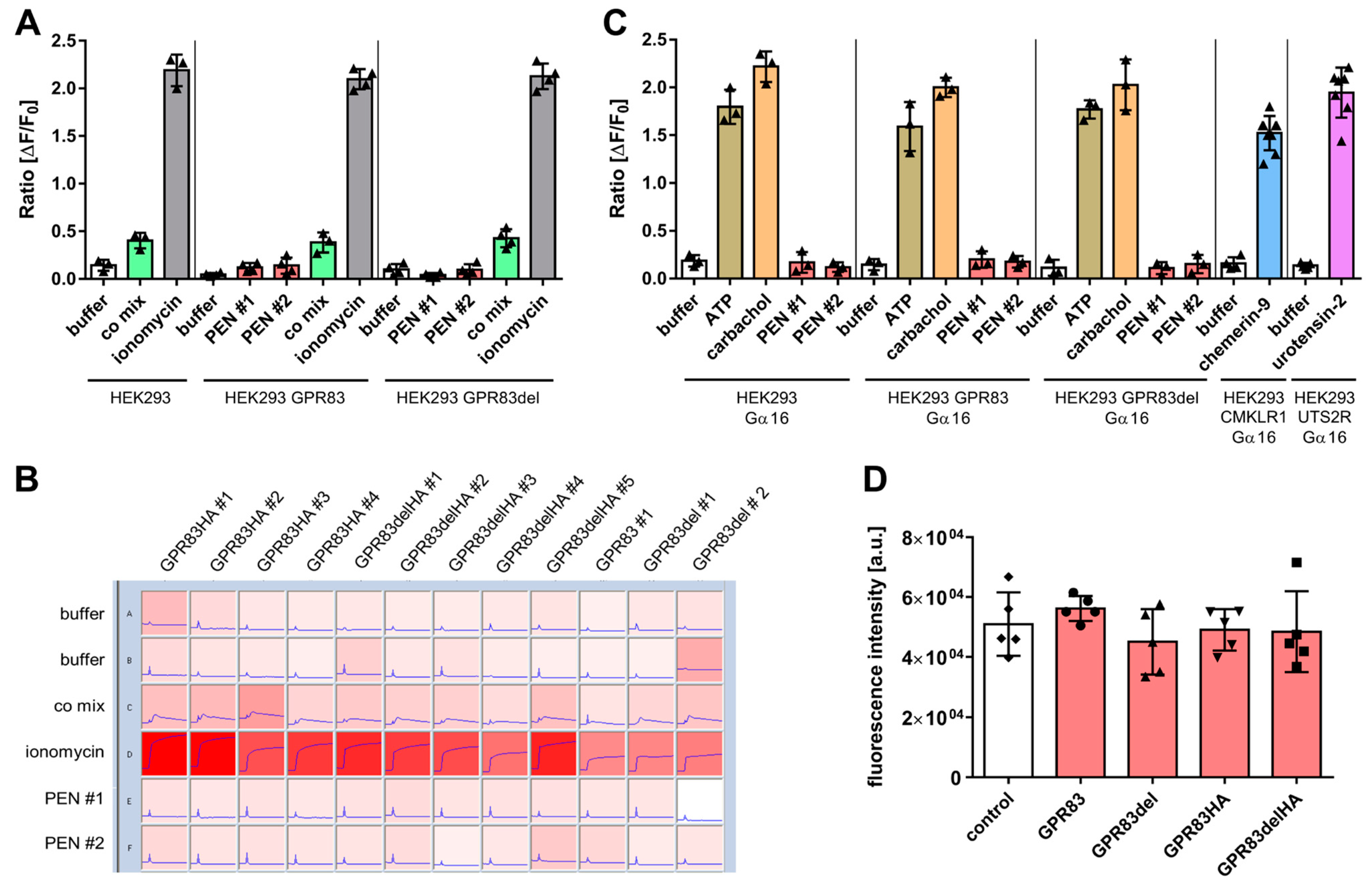 Ijms 24 15117 g002 Ijms 24 15117 g002