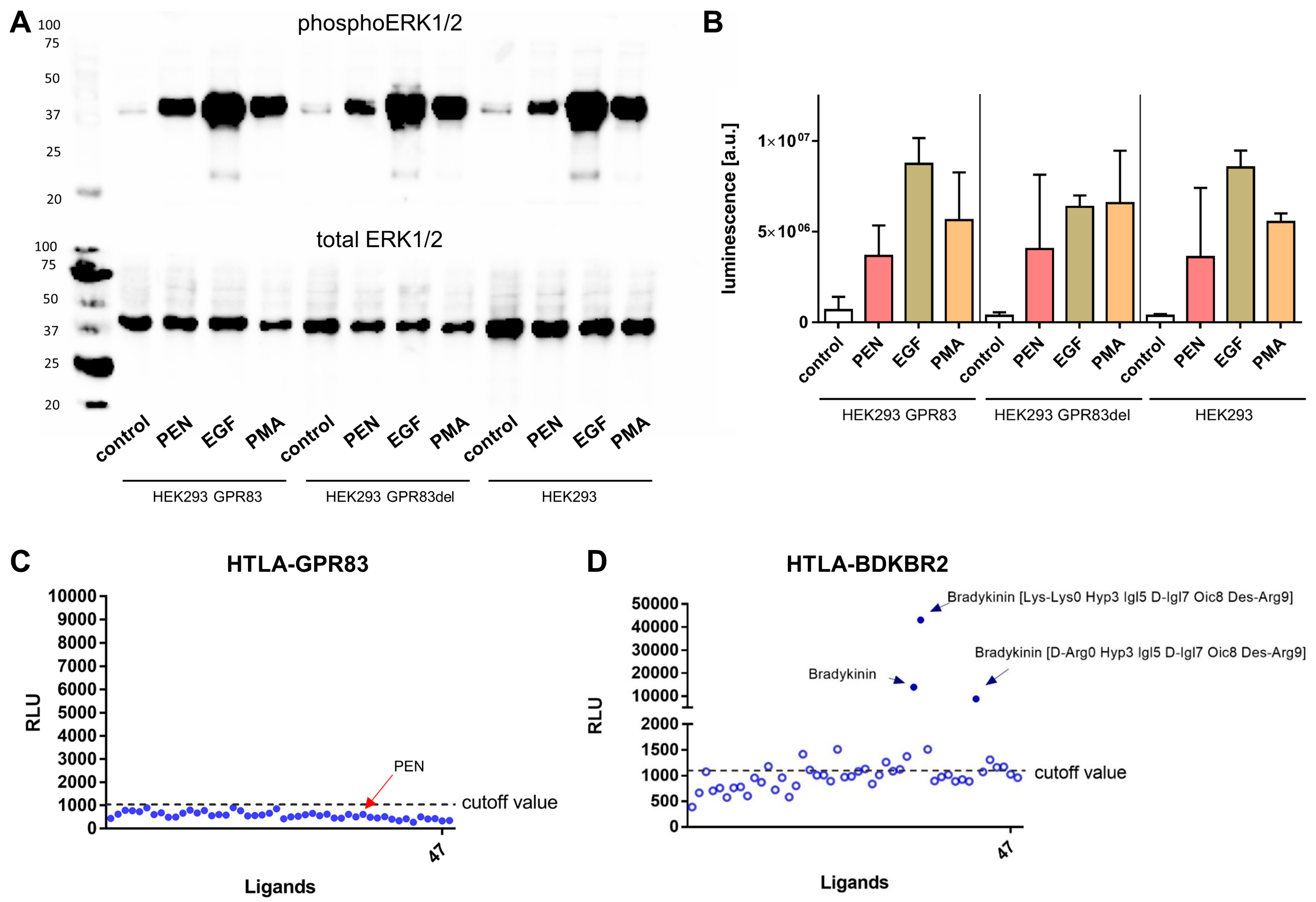 Ijms 24 15117 g004 Ijms 24 15117 g004
