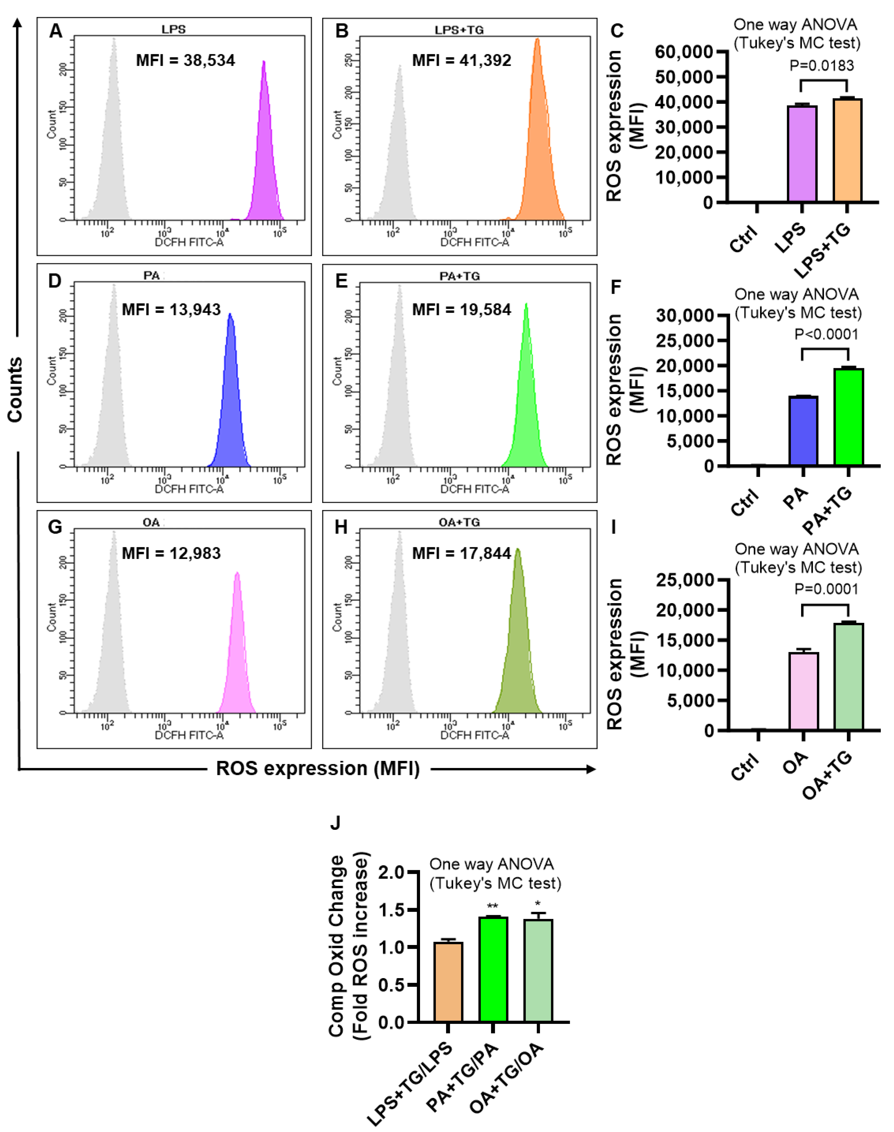 Ijms 24 15186 g002 Ijms 24 15186 g002