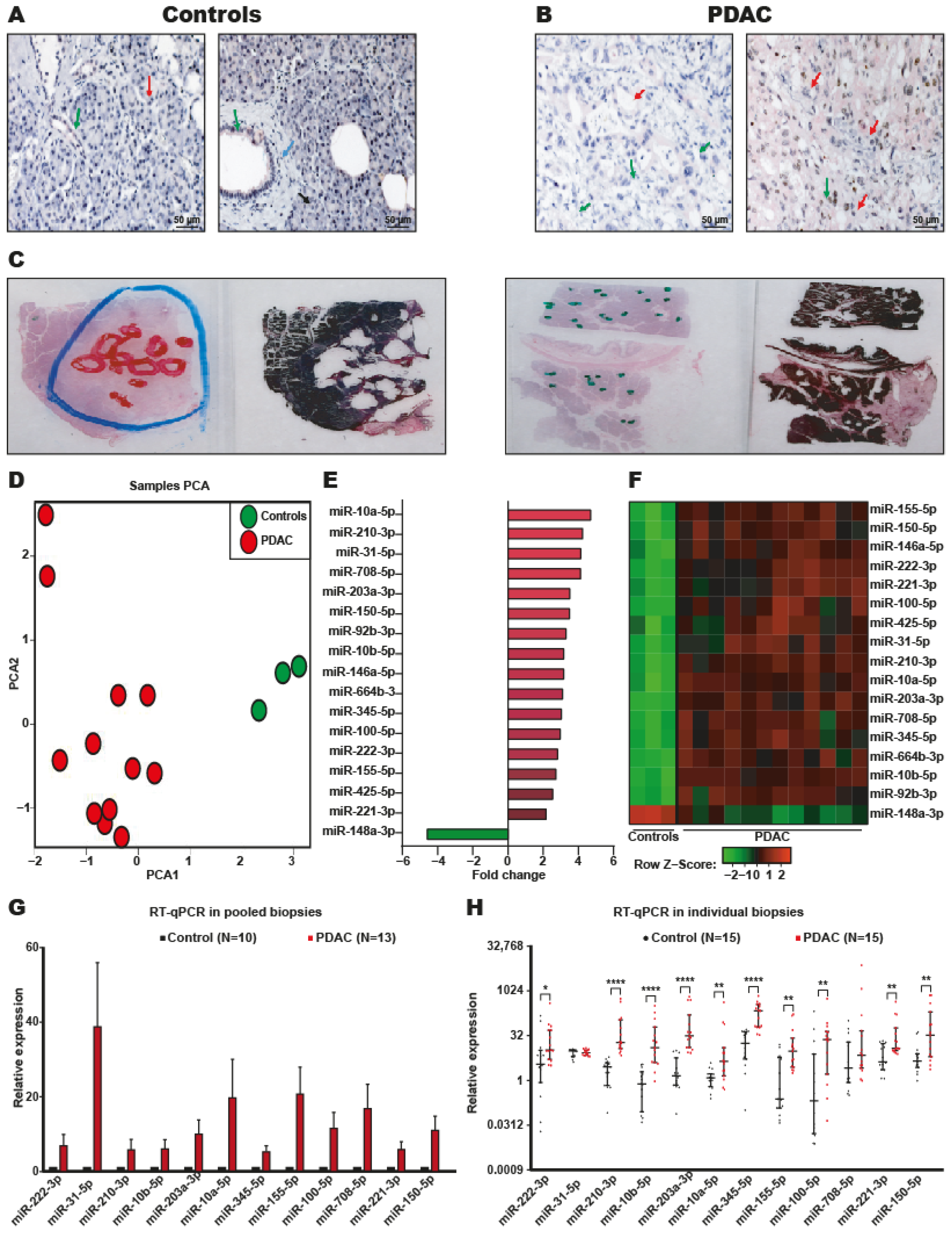 Ijms 24 15193 g002 Ijms 24 15193 g002
