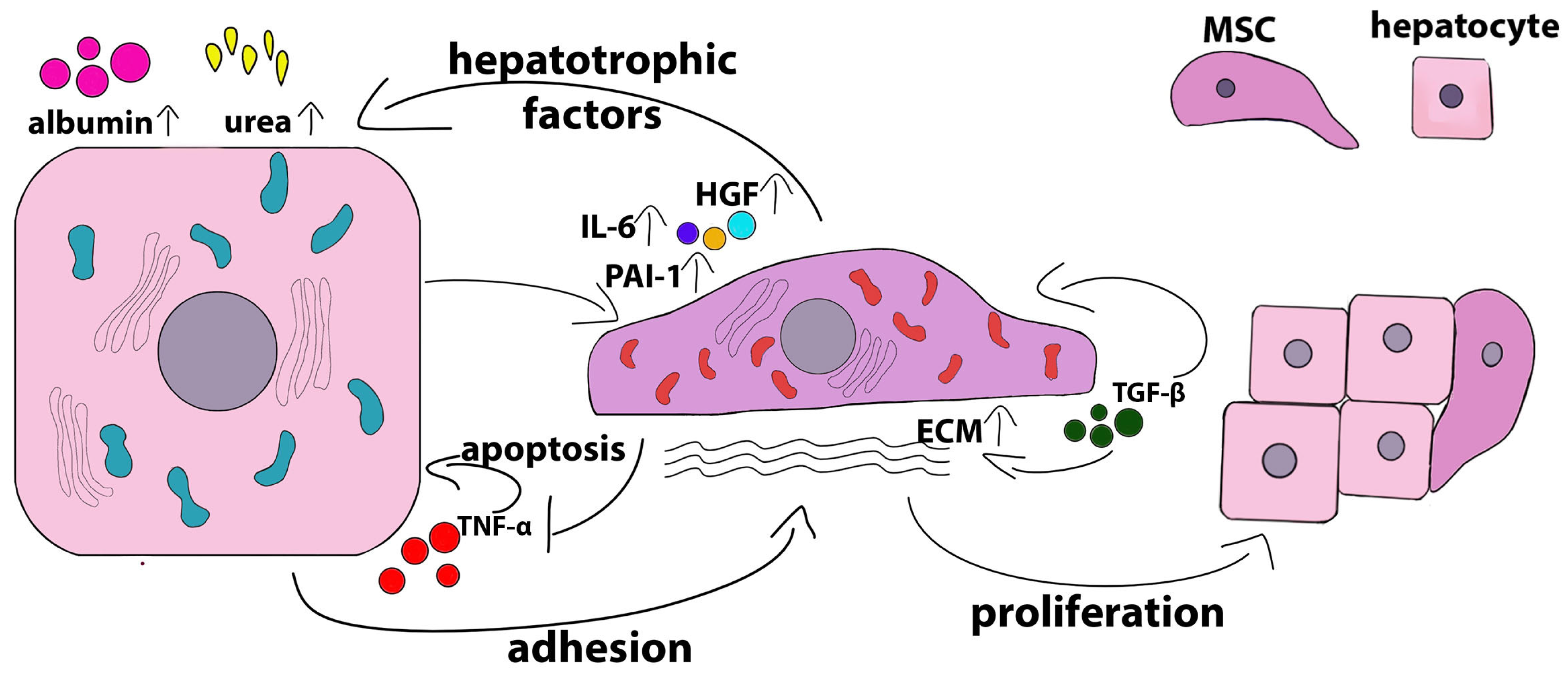 Ijms 24 15212 g002 Ijms 24 15212 g002