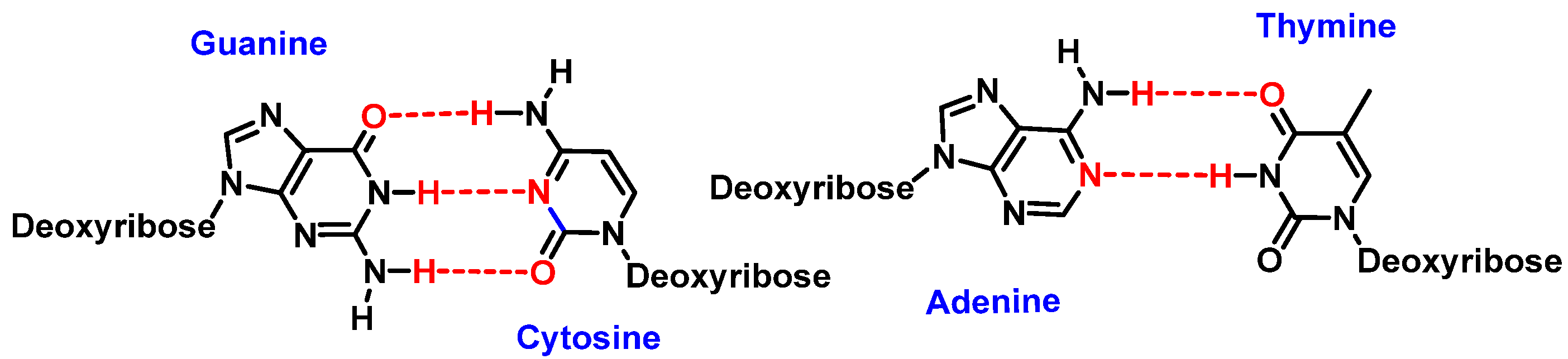 Ijms 24 15240 g002 Ijms 24 15240 g002