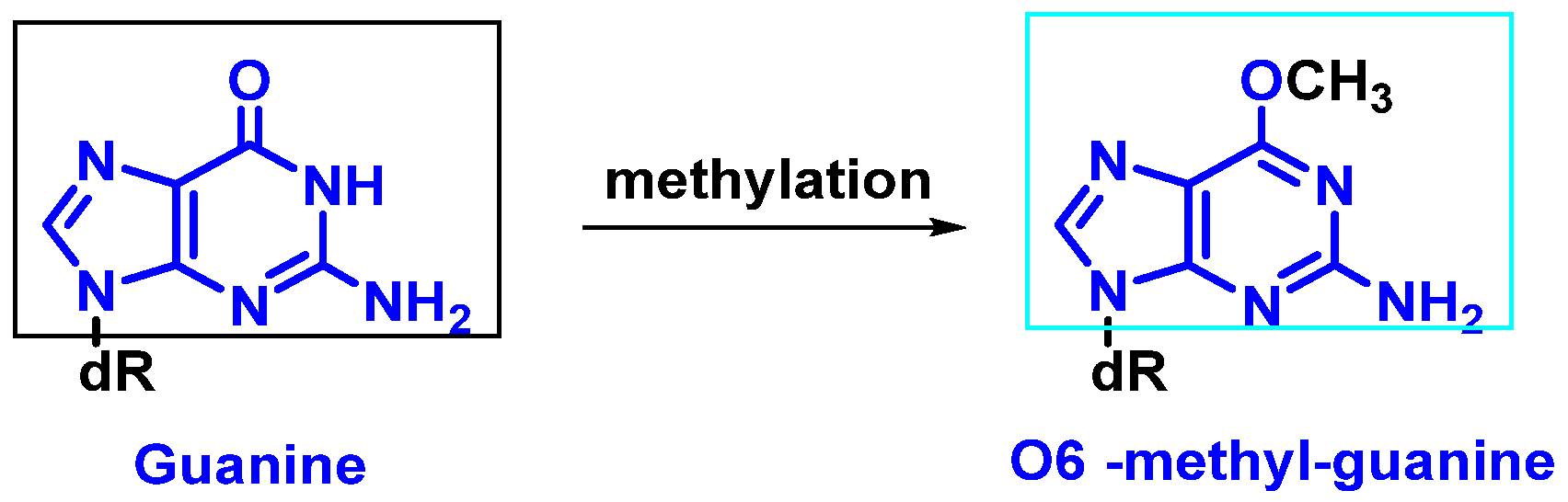 Ijms 24 15240 g004 Ijms 24 15240 g004