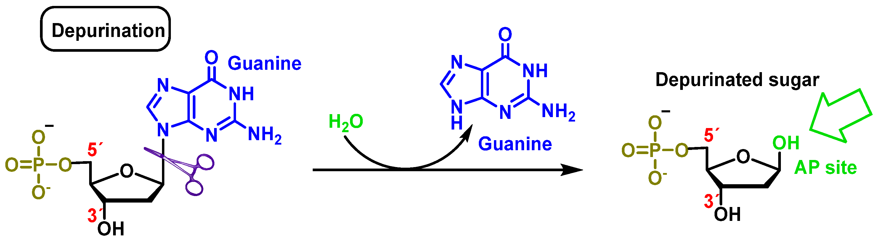 Ijms 24 15240 g006 Ijms 24 15240 g006