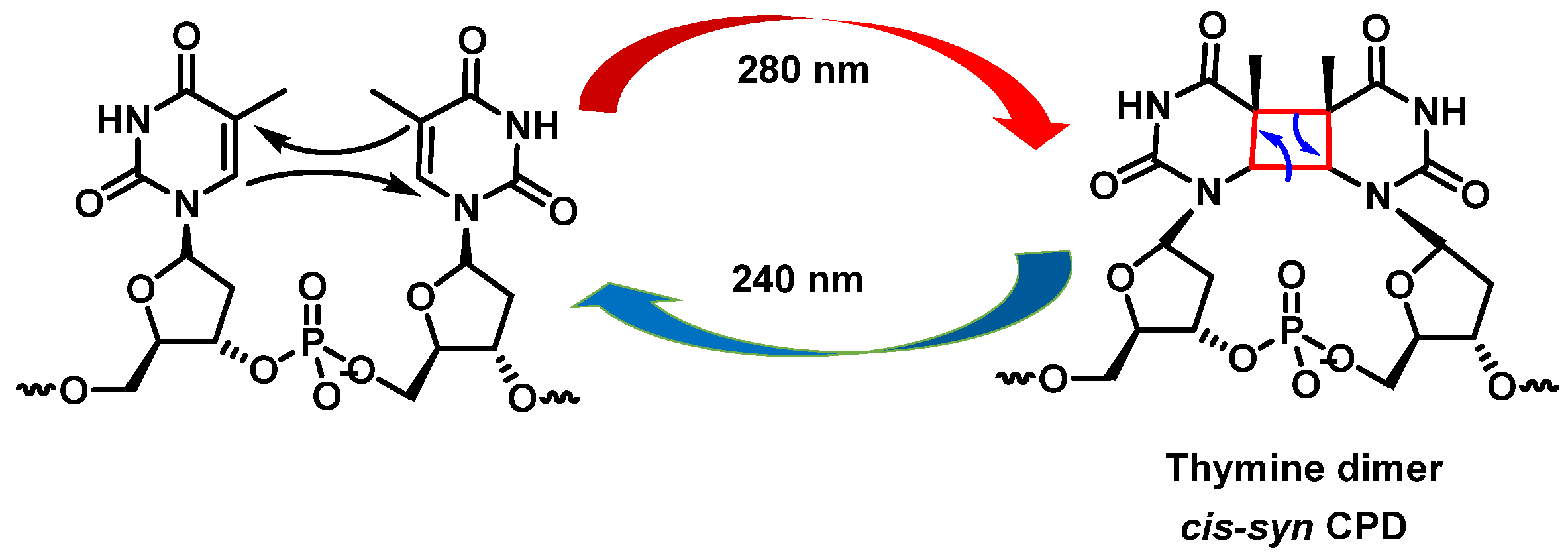 Ijms 24 15240 g009 Ijms 24 15240 g009