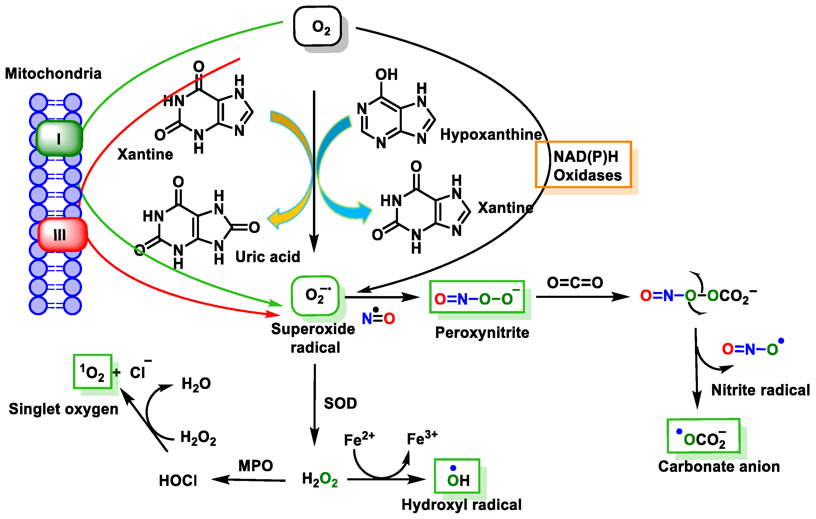 Ijms 24 15240 g011 Ijms 24 15240 g011