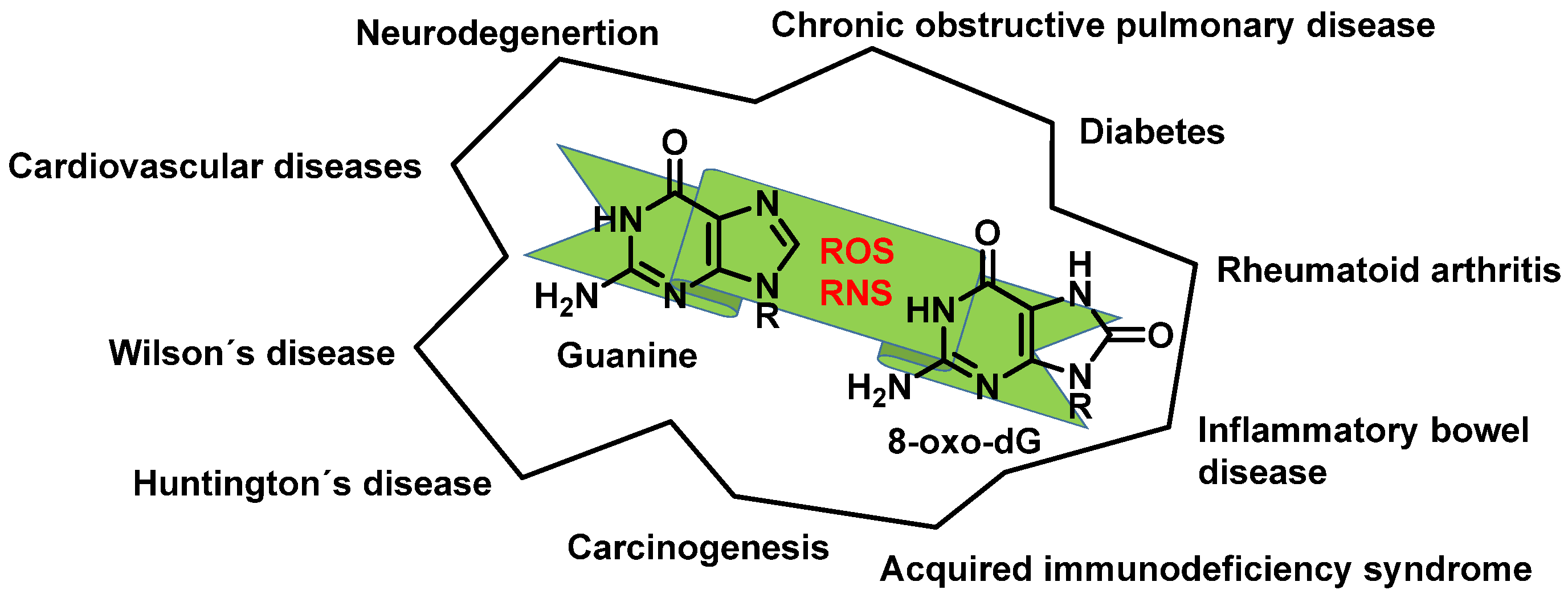 Ijms 24 15240 g013 Ijms 24 15240 g013