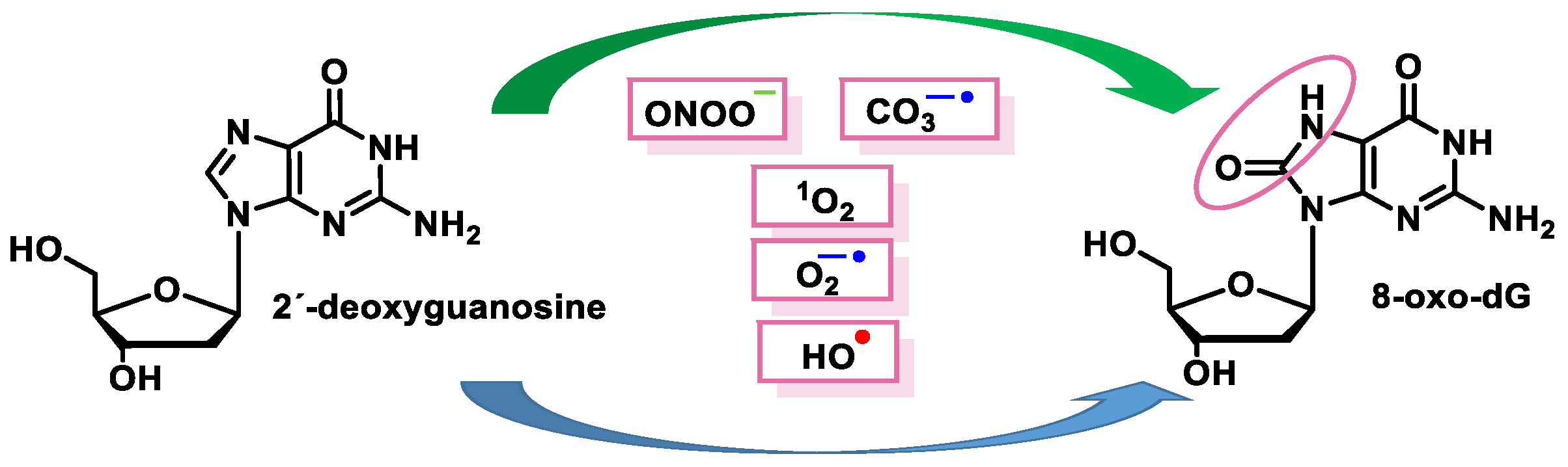 Ijms 24 15240 g015 Ijms 24 15240 g015