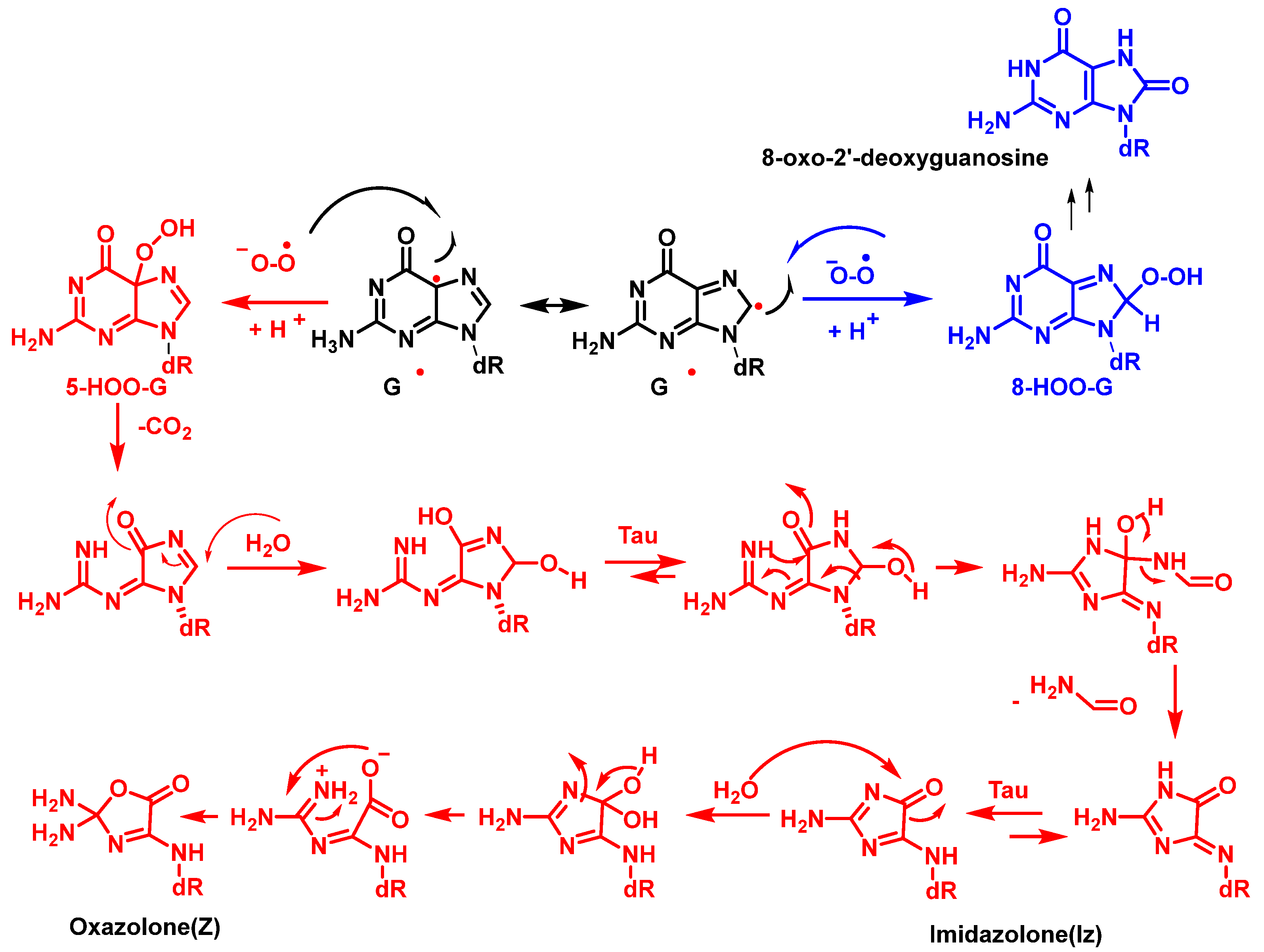 Ijms 24 15240 g019 Ijms 24 15240 g019