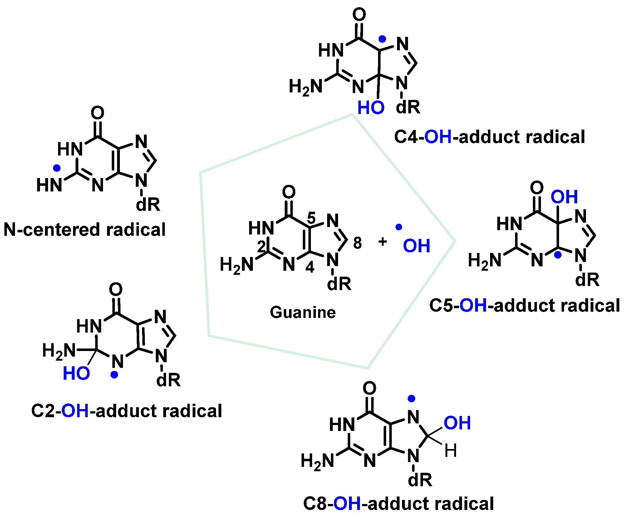 Ijms 24 15240 g021 Ijms 24 15240 g021
