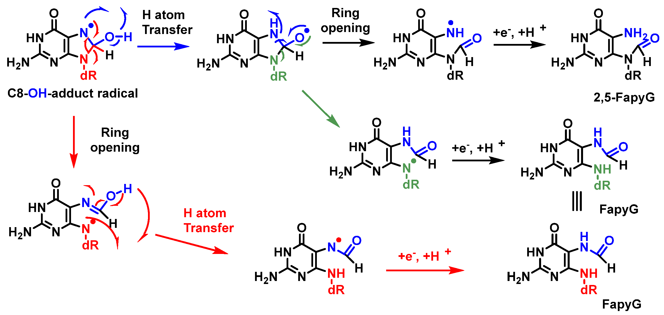 Ijms 24 15240 g023 Ijms 24 15240 g023