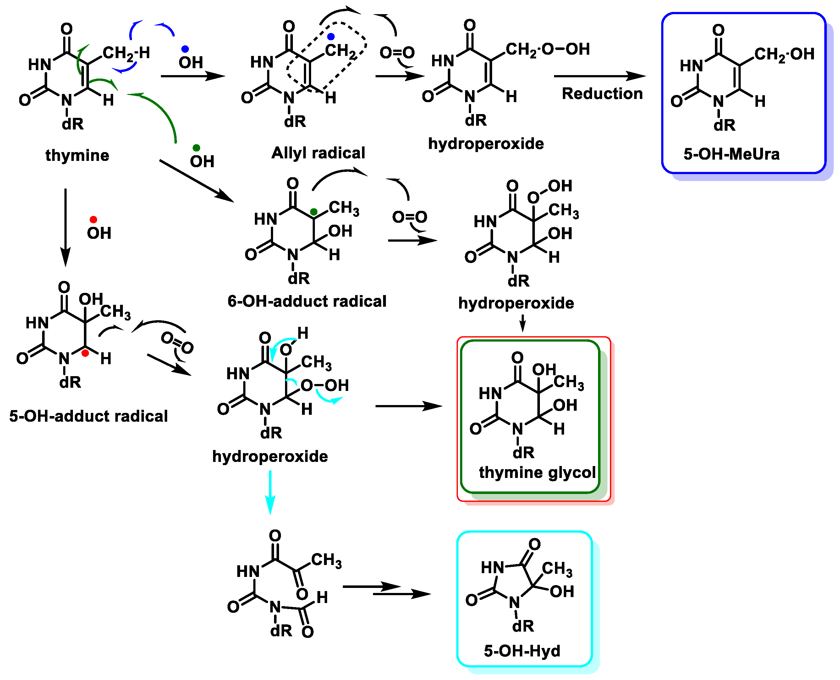 Ijms 24 15240 g024 Ijms 24 15240 g024