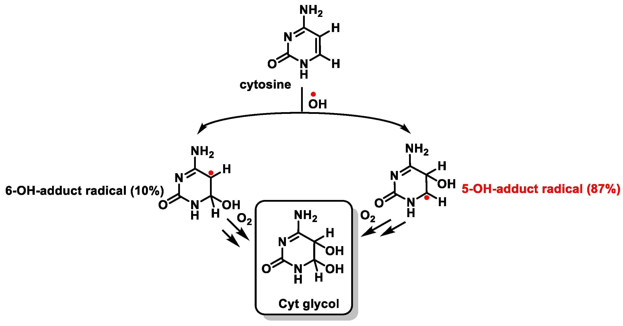 Ijms 24 15240 g025 Ijms 24 15240 g025