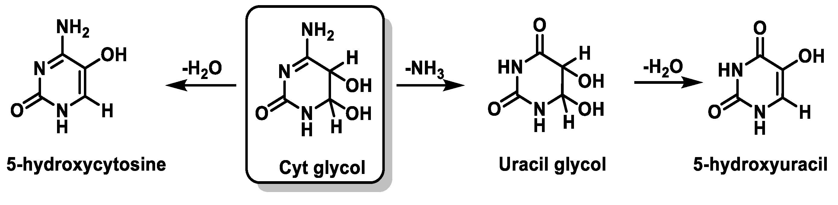 Ijms 24 15240 g026 Ijms 24 15240 g026