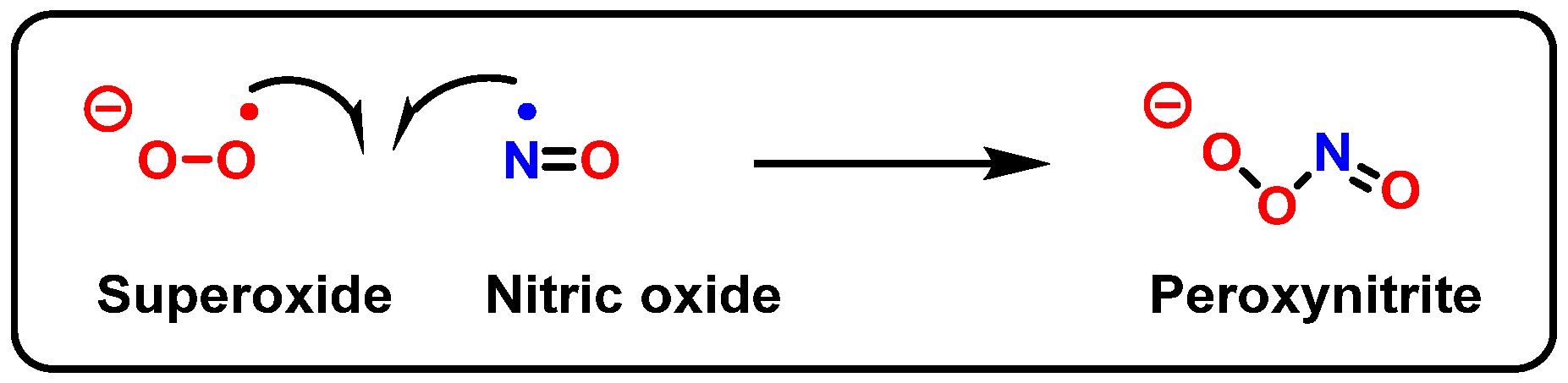 Ijms 24 15240 g027 Ijms 24 15240 g027