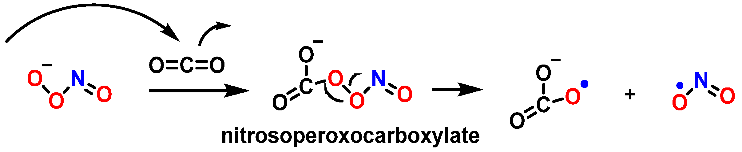 Ijms 24 15240 g030 Ijms 24 15240 g030