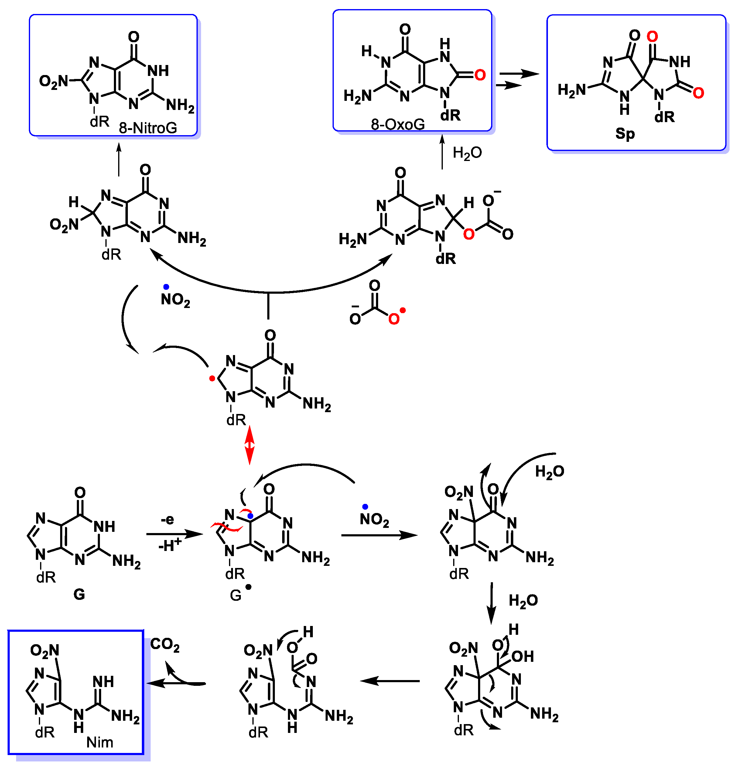 Ijms 24 15240 g031 Ijms 24 15240 g031