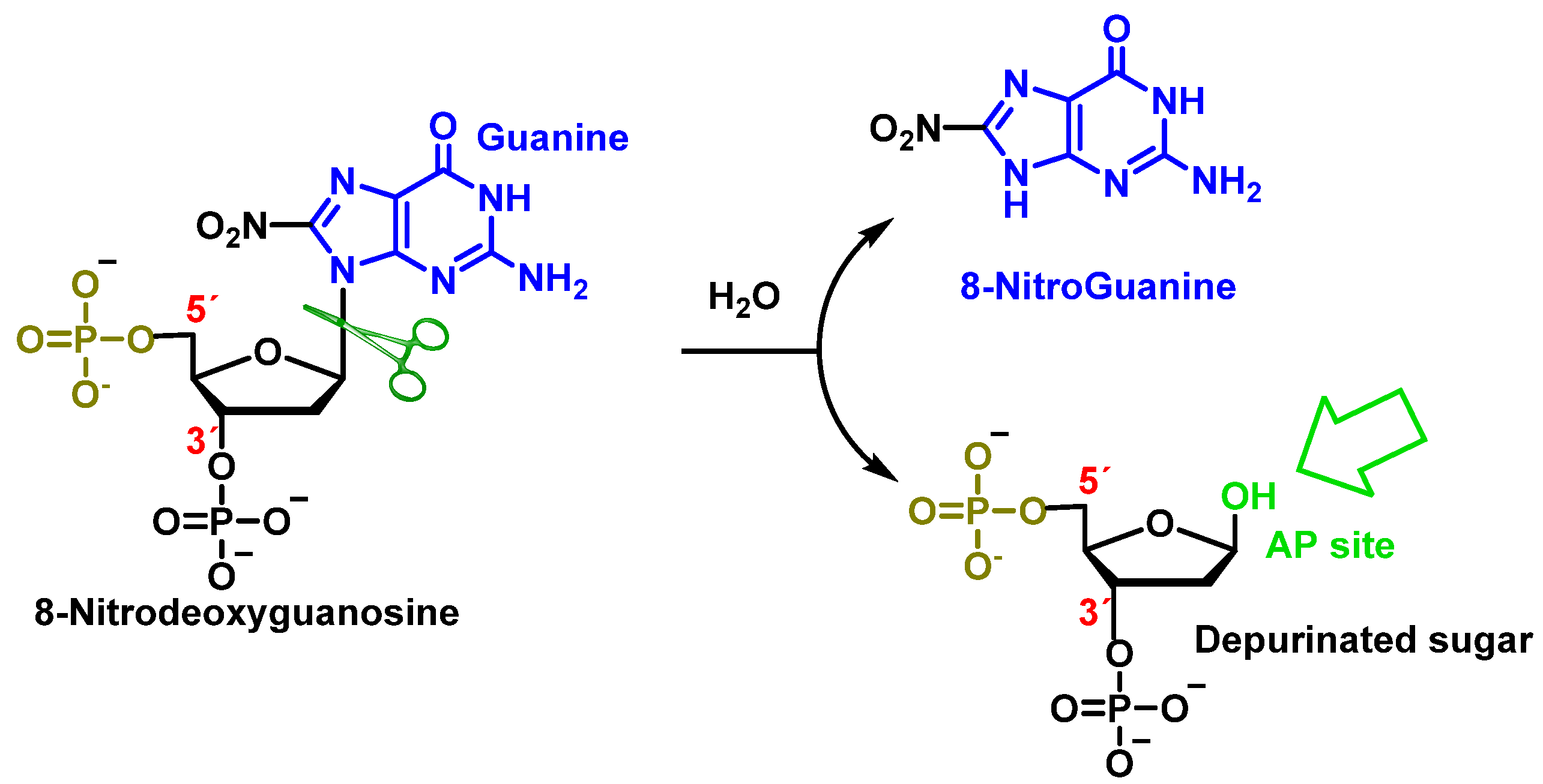 Ijms 24 15240 g032 Ijms 24 15240 g032