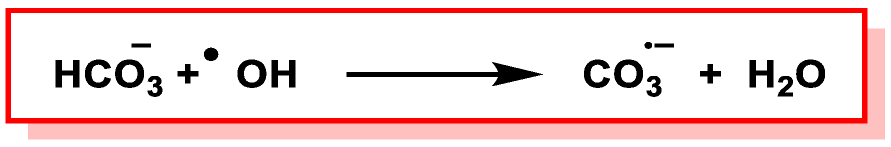 Ijms 24 15240 g035 Ijms 24 15240 g035