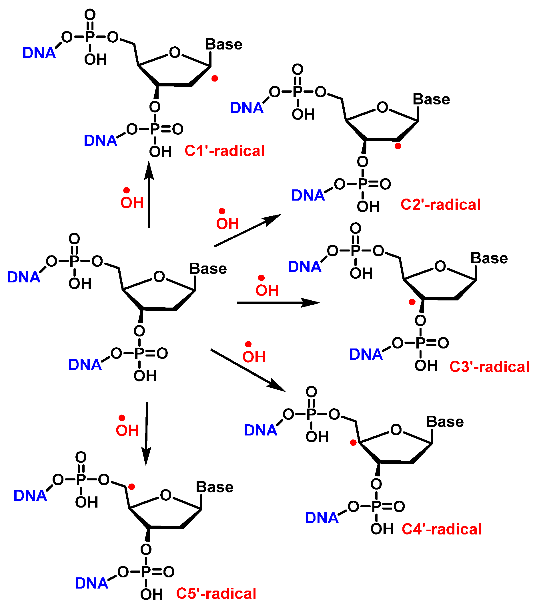 Ijms 24 15240 g036 Ijms 24 15240 g036