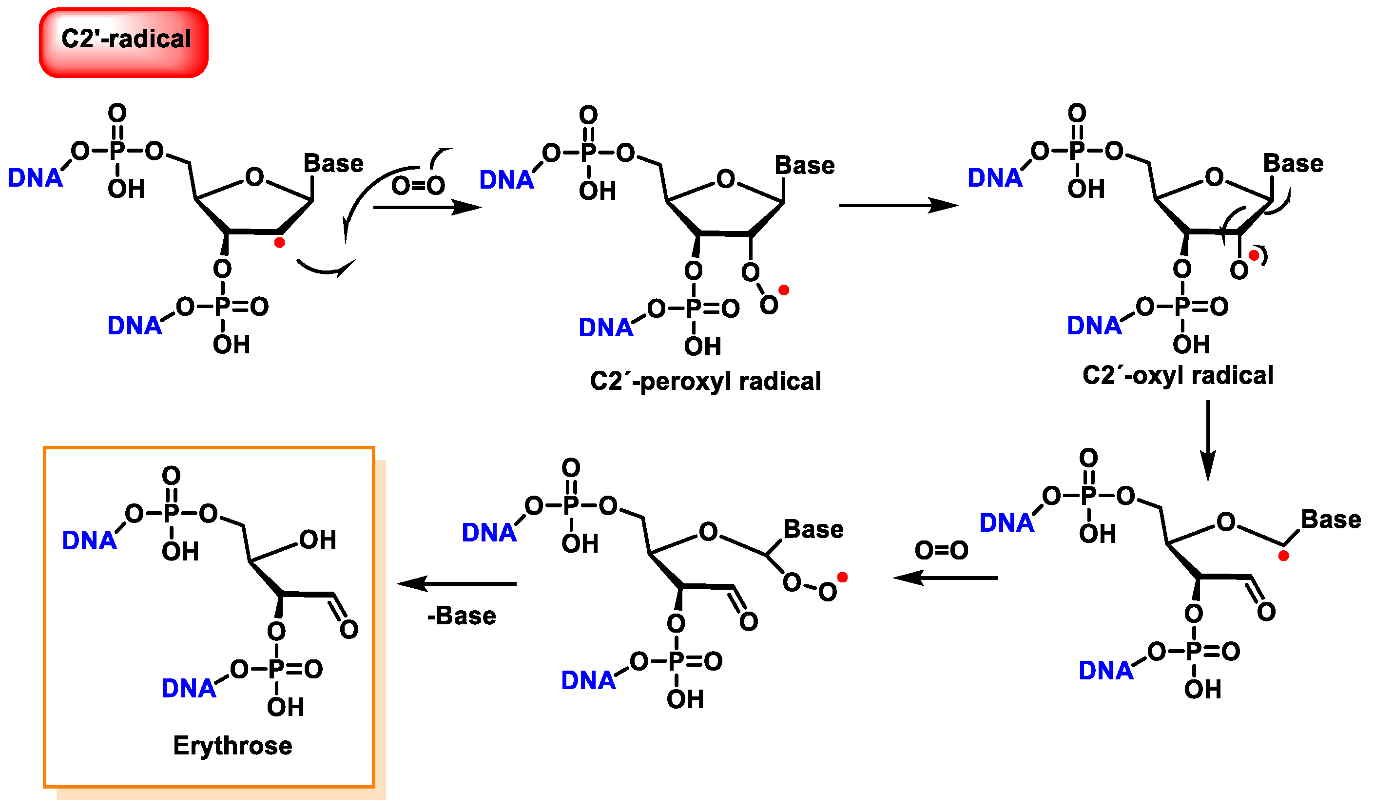 Ijms 24 15240 g038 Ijms 24 15240 g038