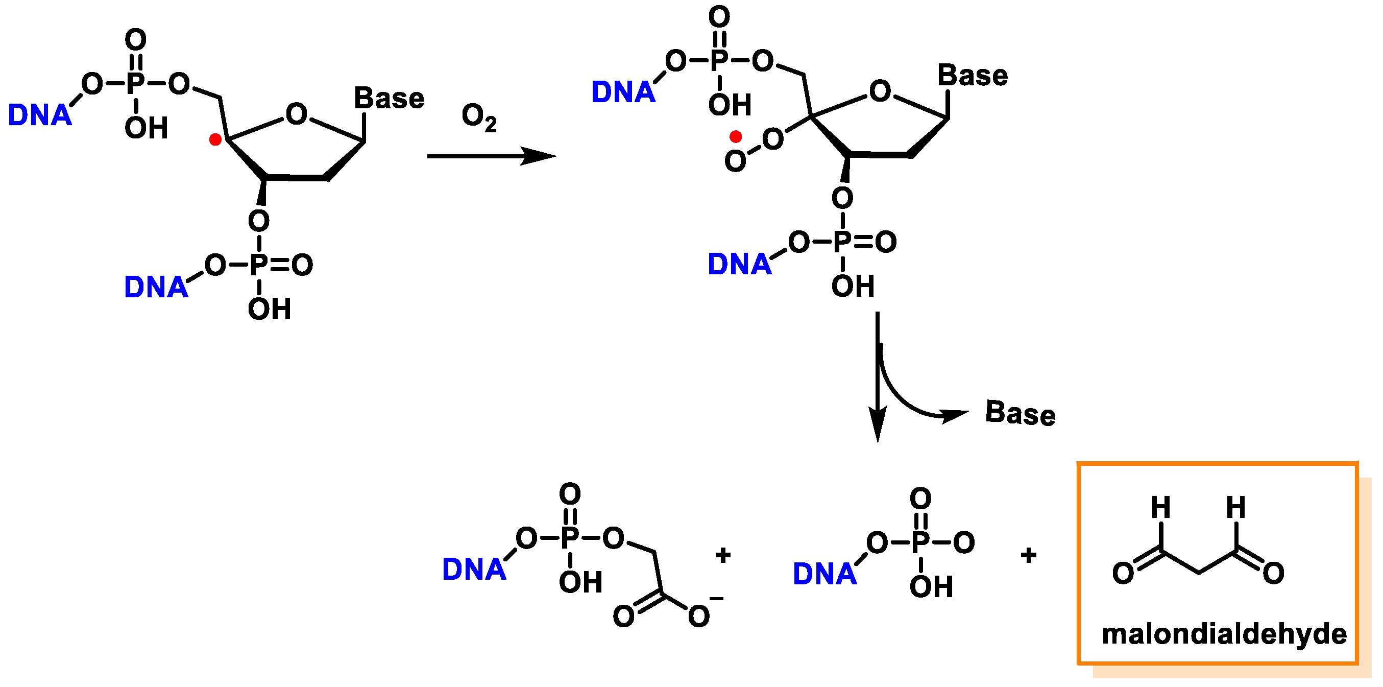 Ijms 24 15240 g040 Ijms 24 15240 g040