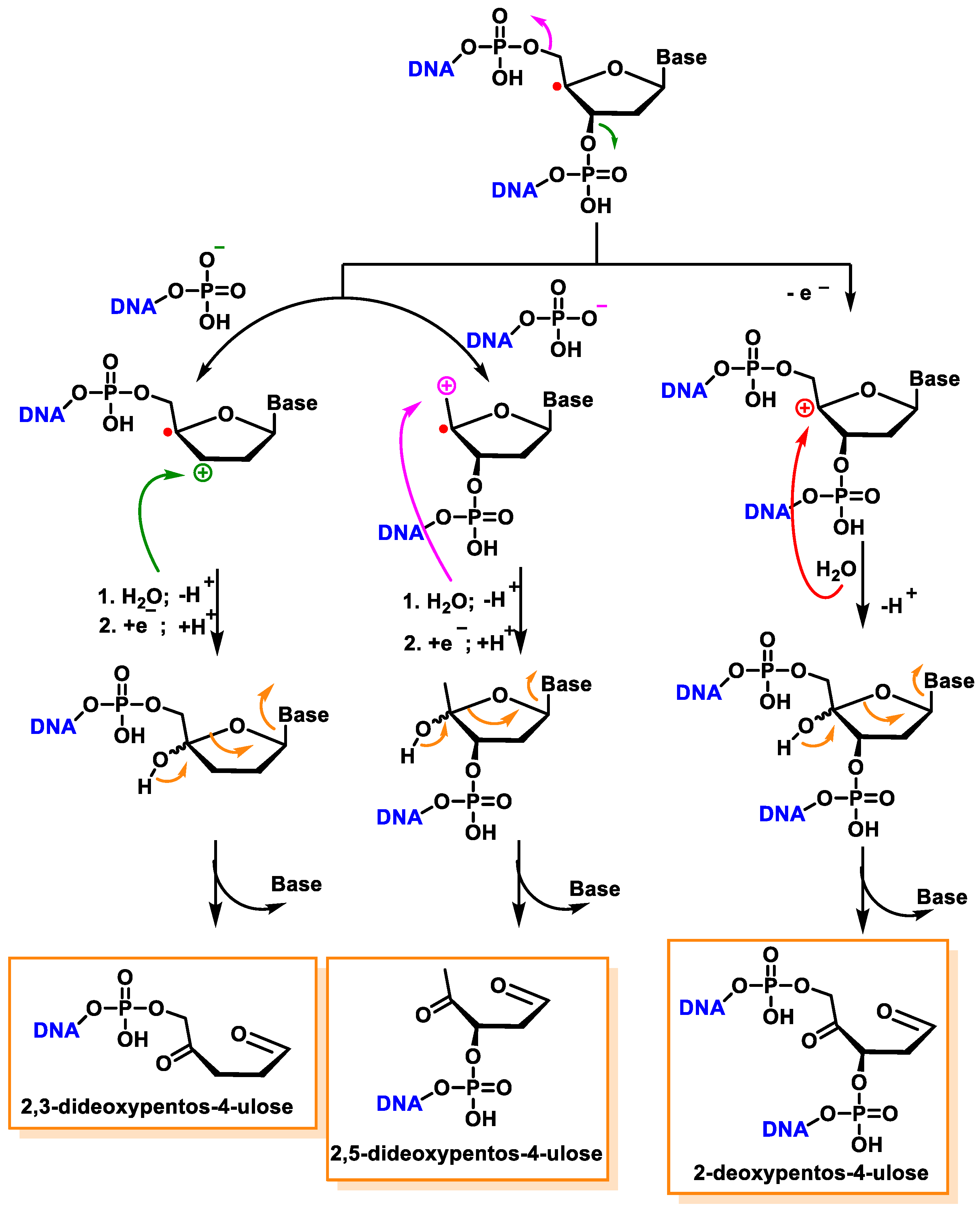 Ijms 24 15240 g041 Ijms 24 15240 g041