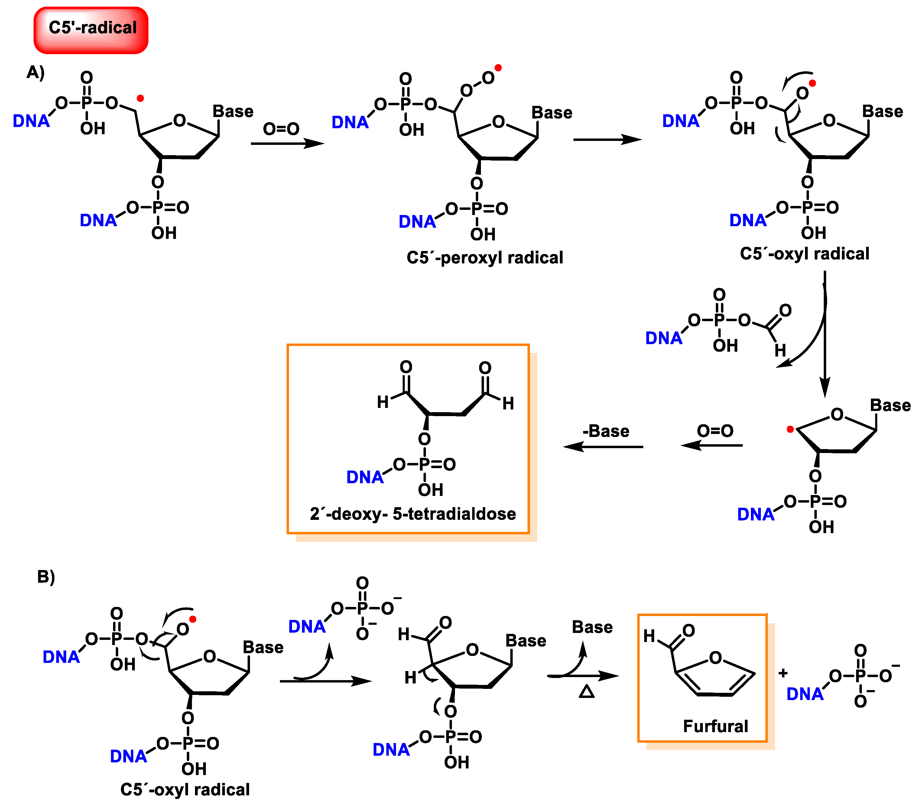 Ijms 24 15240 g042 Ijms 24 15240 g042