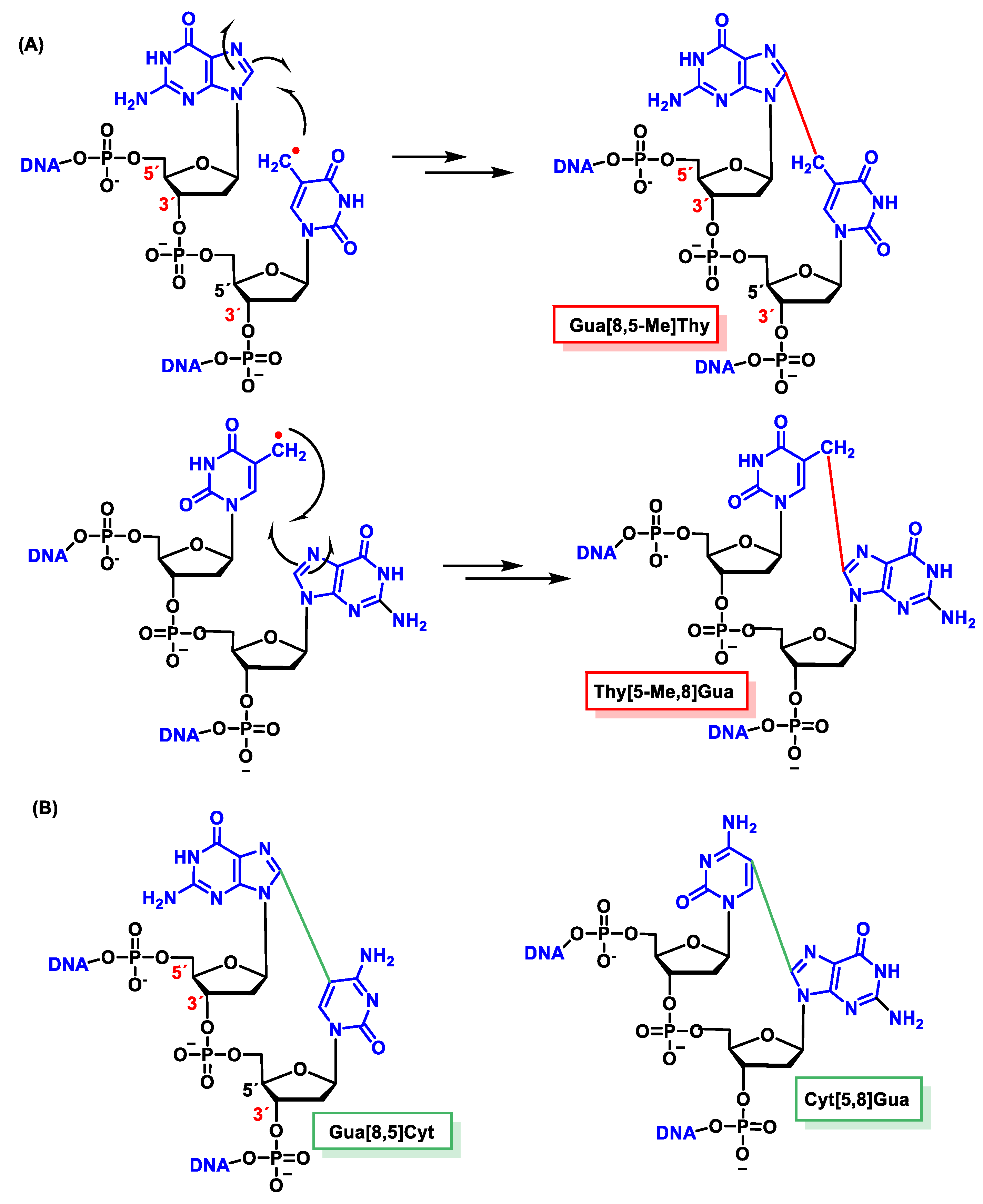 Ijms 24 15240 g045 Ijms 24 15240 g045