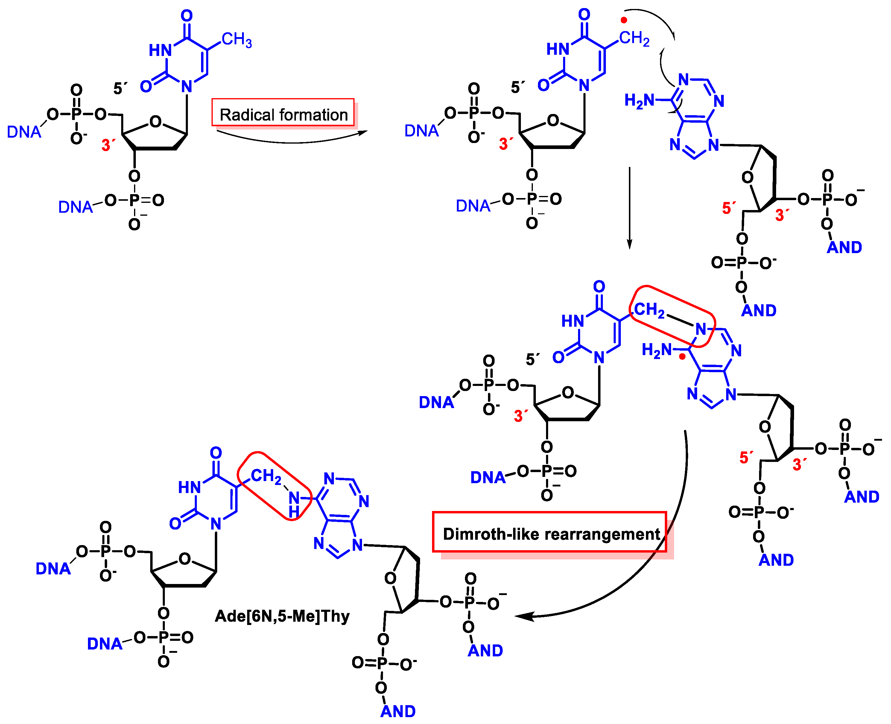Ijms 24 15240 g046 Ijms 24 15240 g046