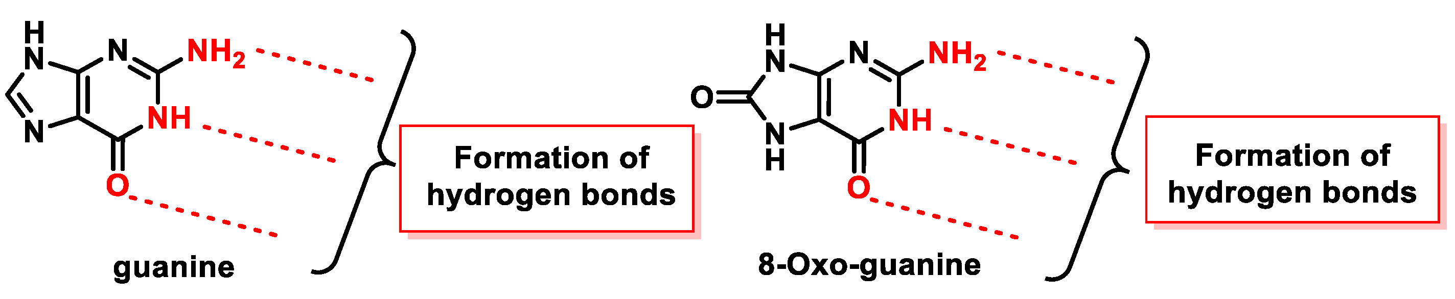Ijms 24 15240 g047 Ijms 24 15240 g047