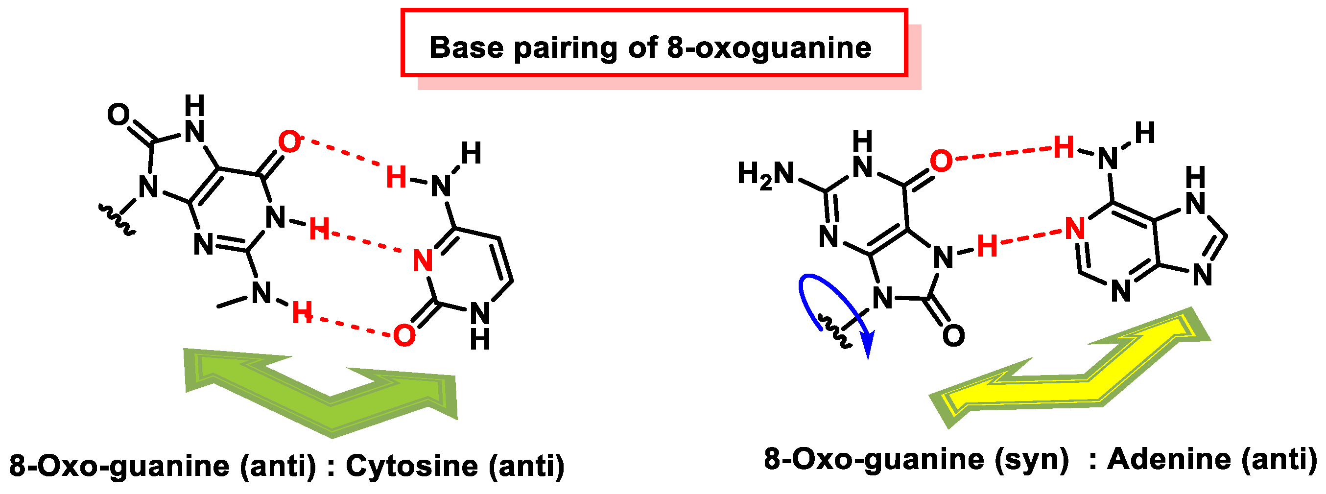 Ijms 24 15240 g048 Ijms 24 15240 g048