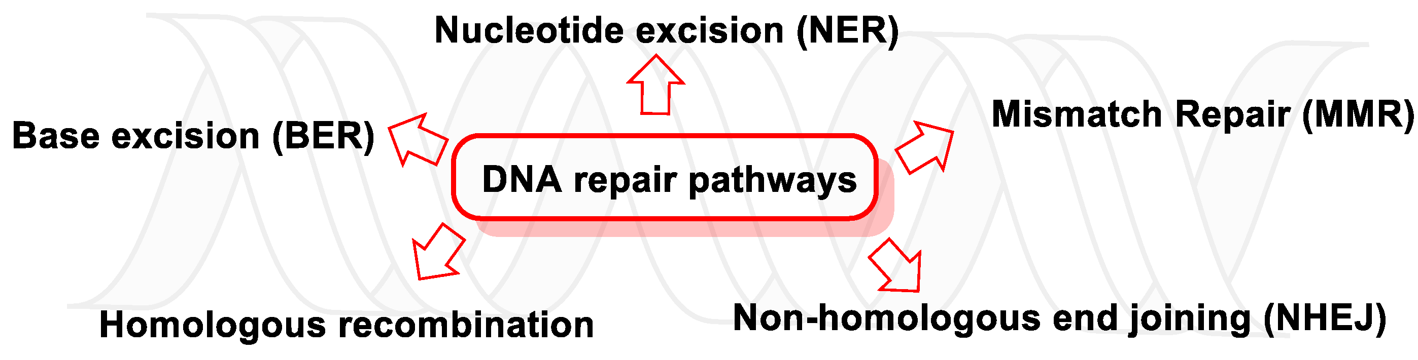 Ijms 24 15240 g049 Ijms 24 15240 g049