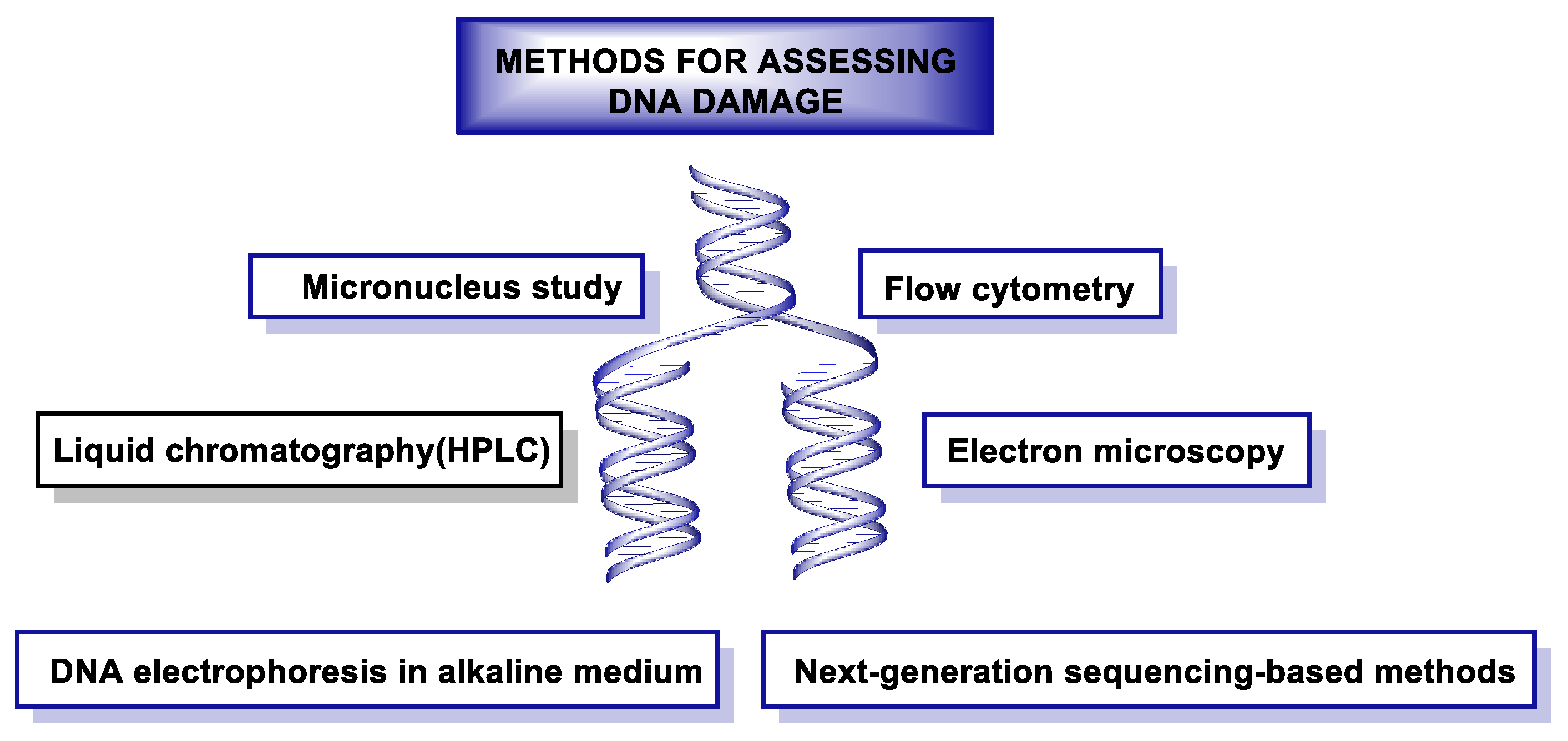 Ijms 24 15240 g050 Ijms 24 15240 g050