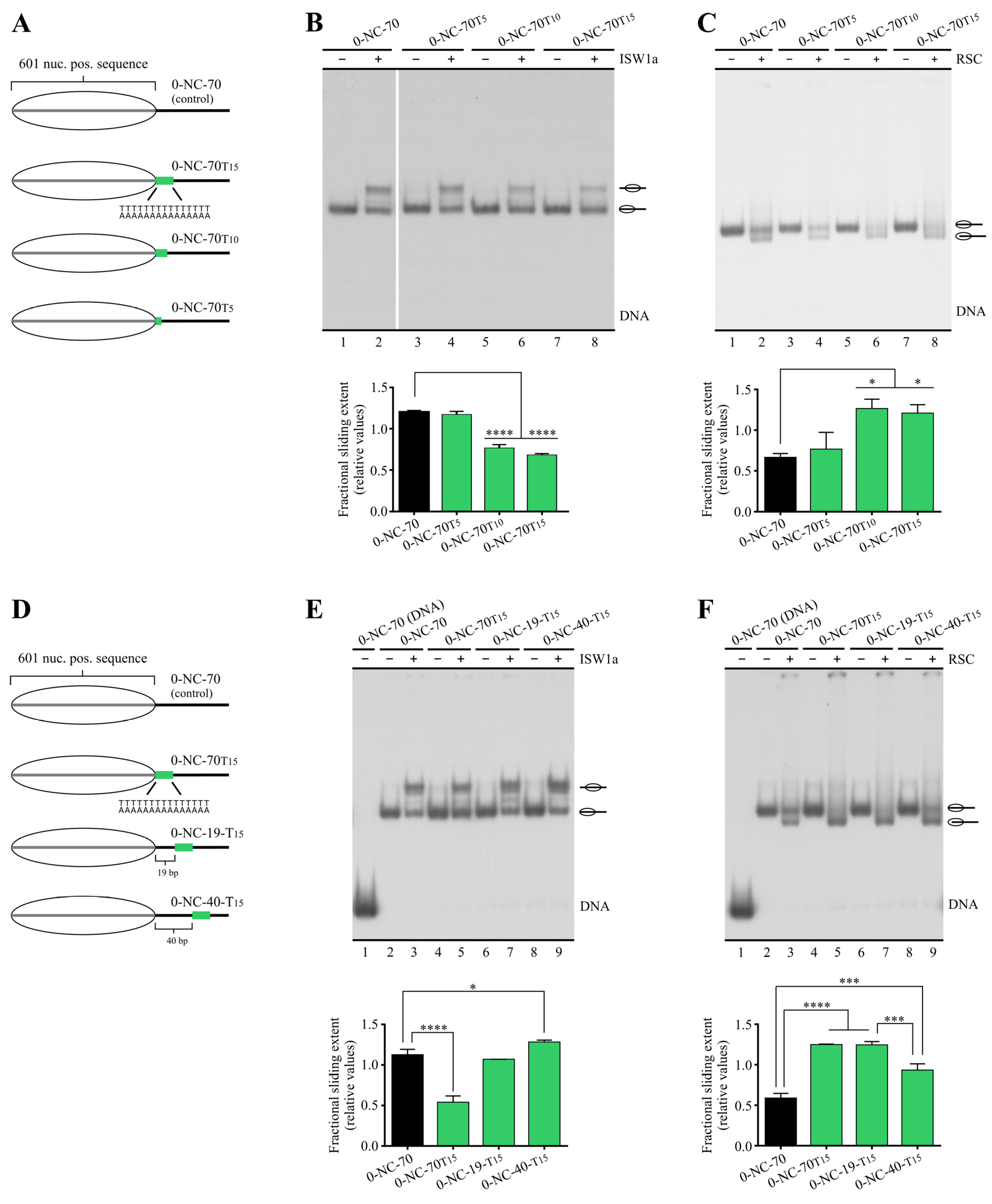 Ijms 24 15245 g002 Ijms 24 15245 g002