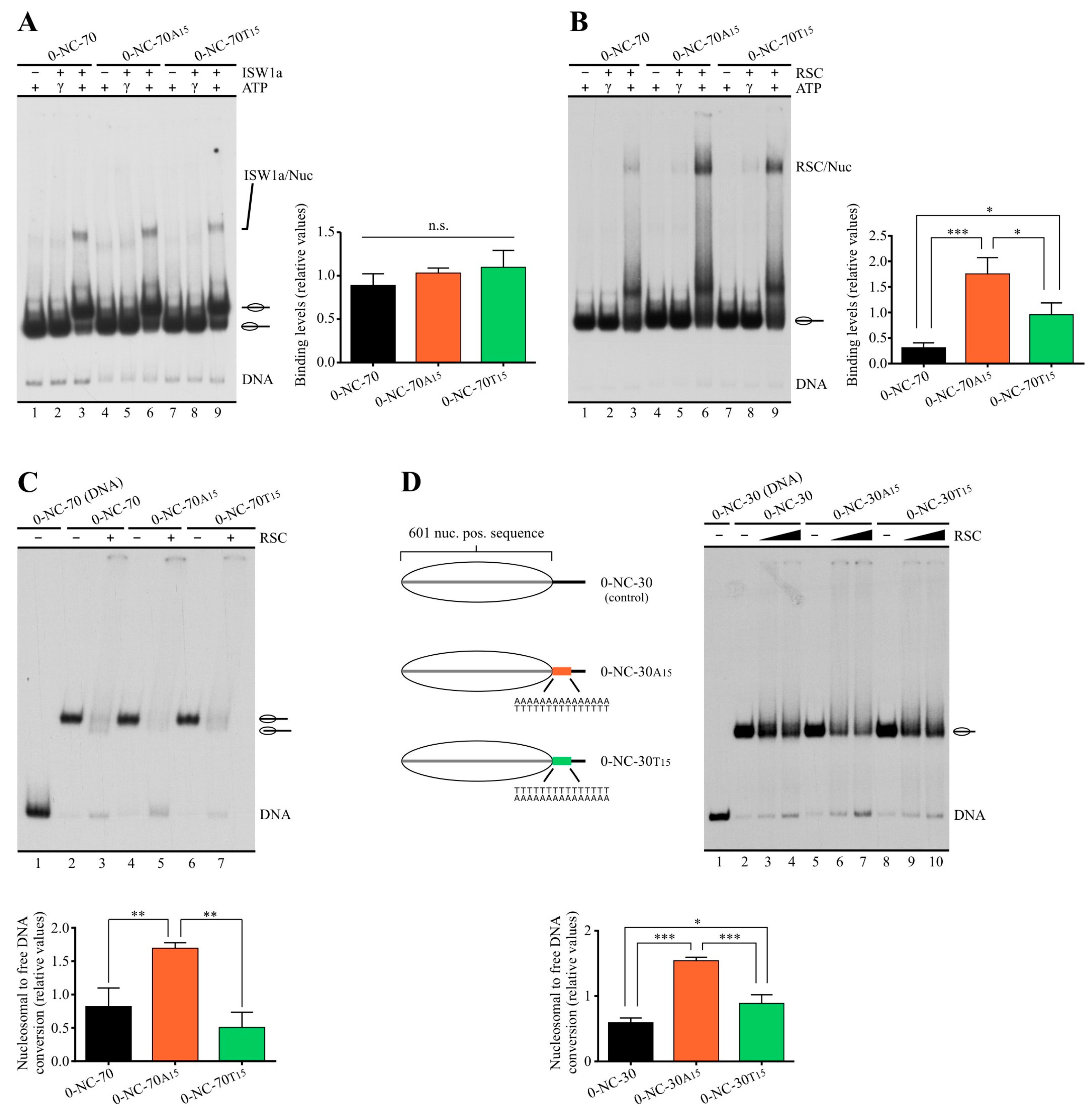 Ijms 24 15245 g003 Ijms 24 15245 g003